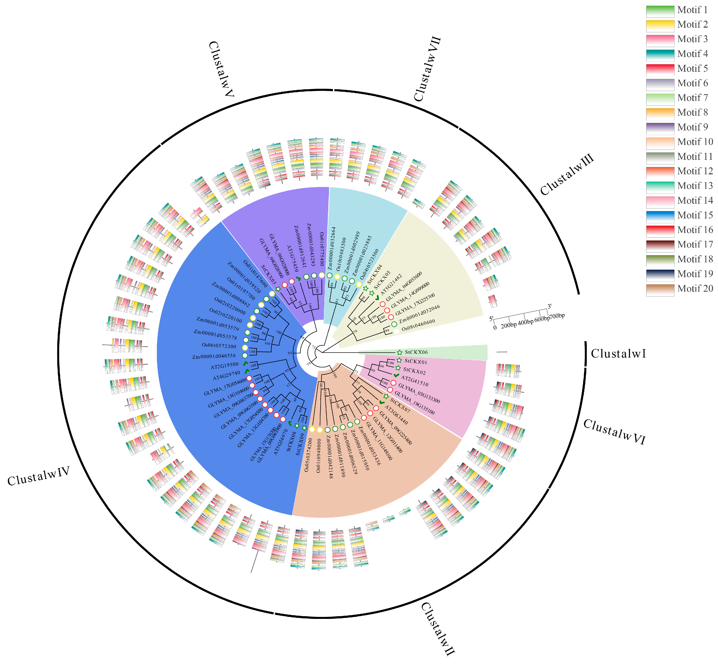 Horticulturae 10 00737 g004