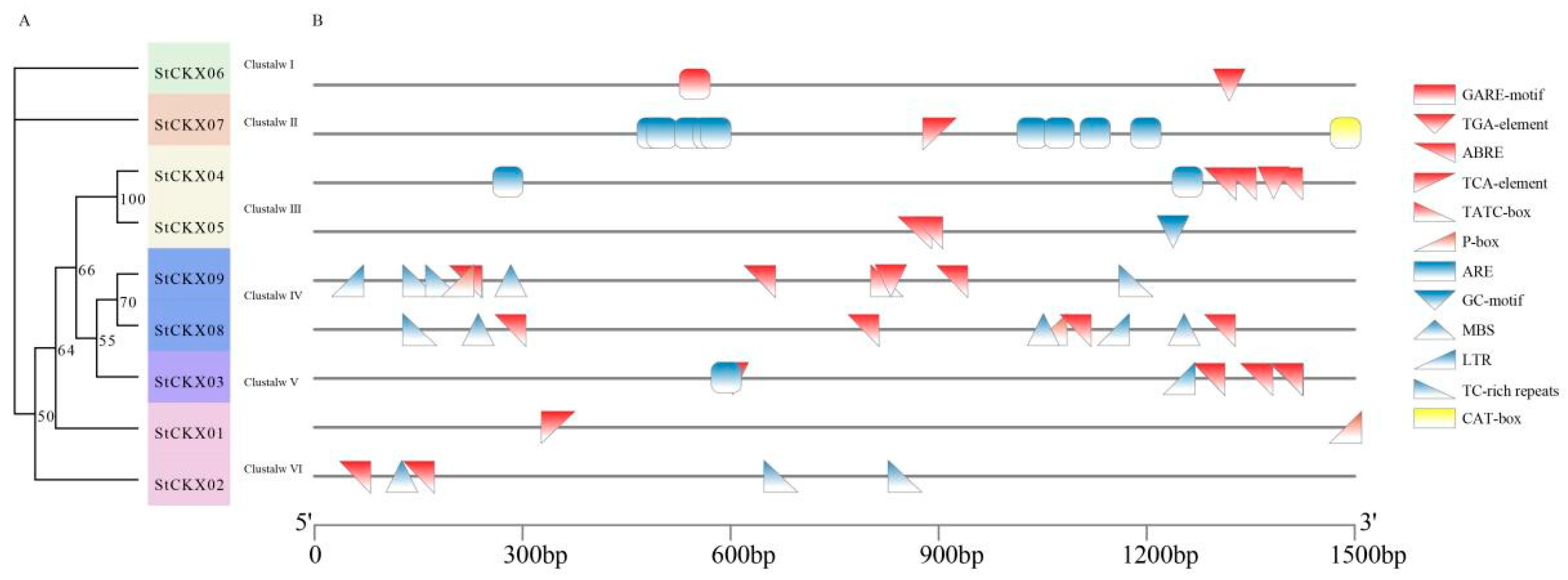 Horticulturae 10 00737 g005