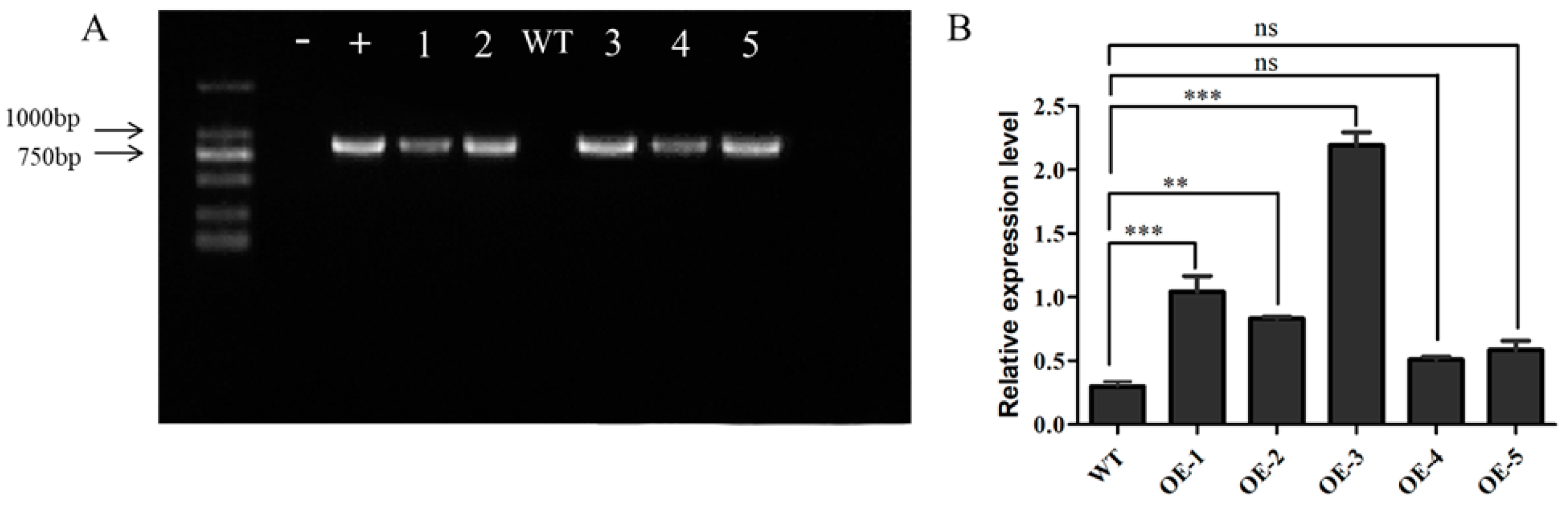 Horticulturae 10 00738 g010
