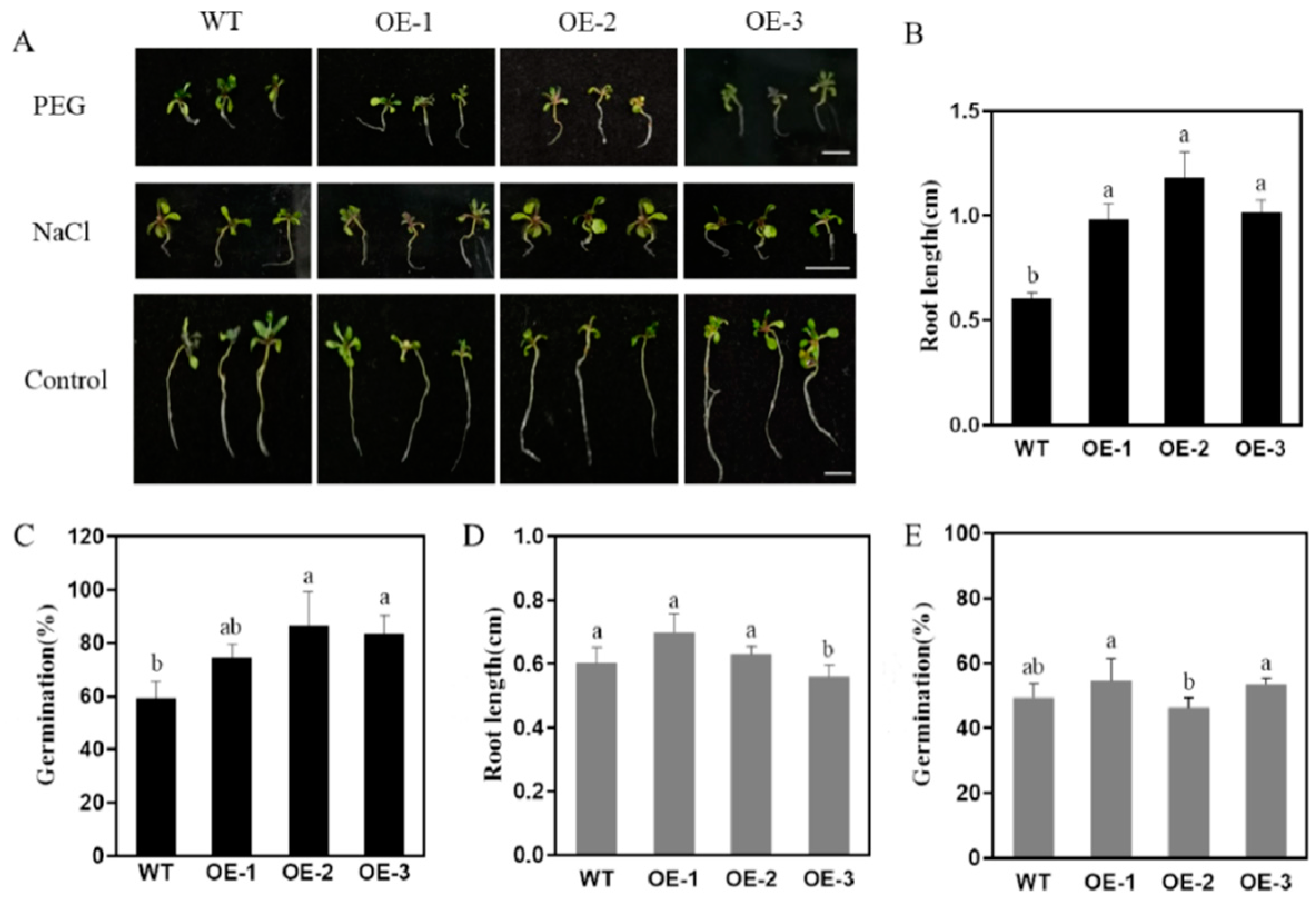 Horticulturae 10 00738 g011