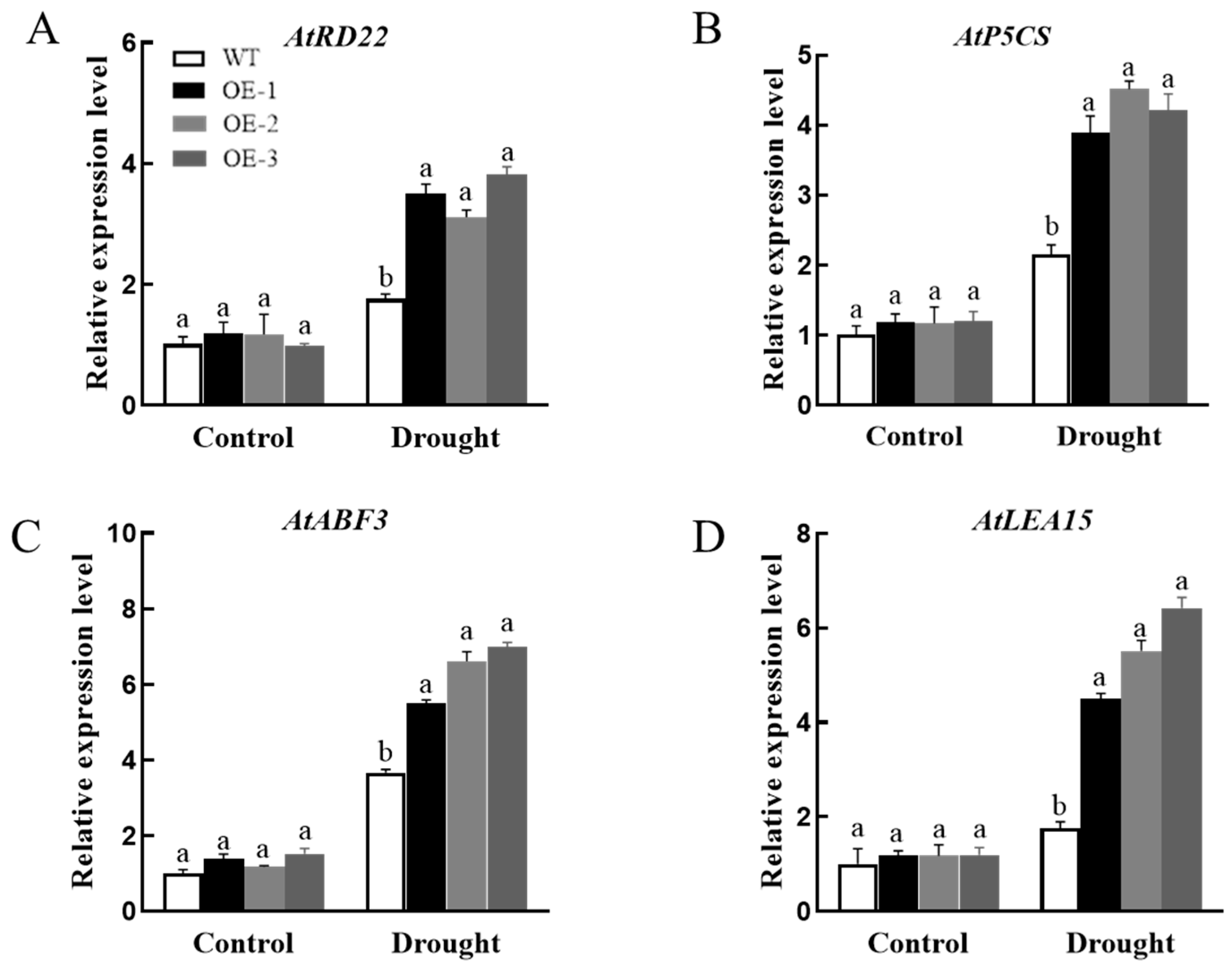 Horticulturae 10 00738 g016