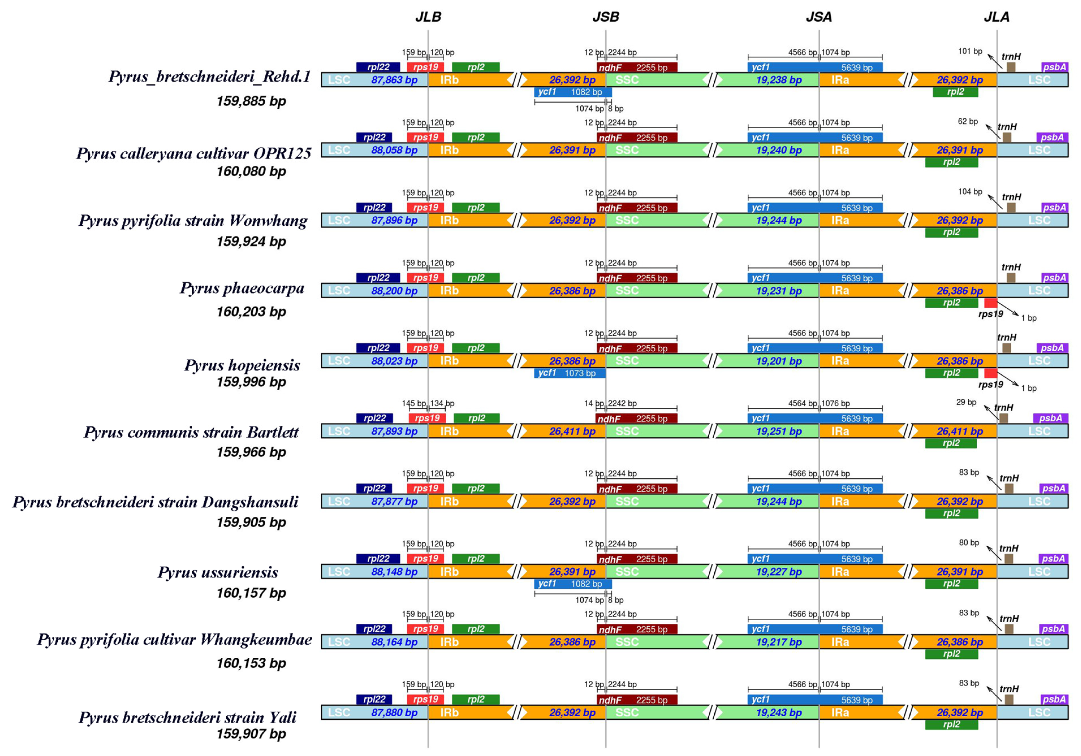 Horticulturae 10 00744 g004