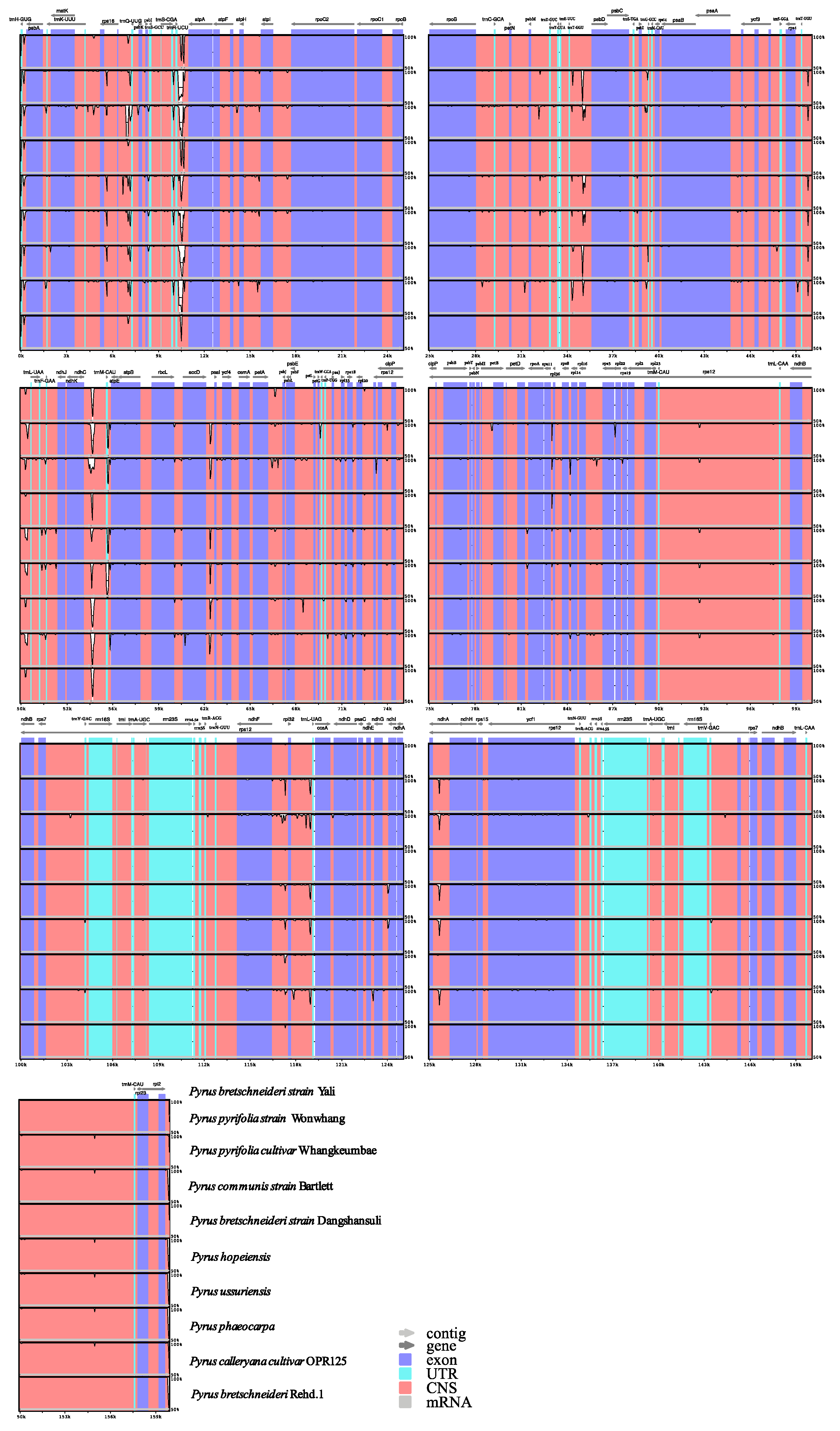 Horticulturae 10 00744 g005