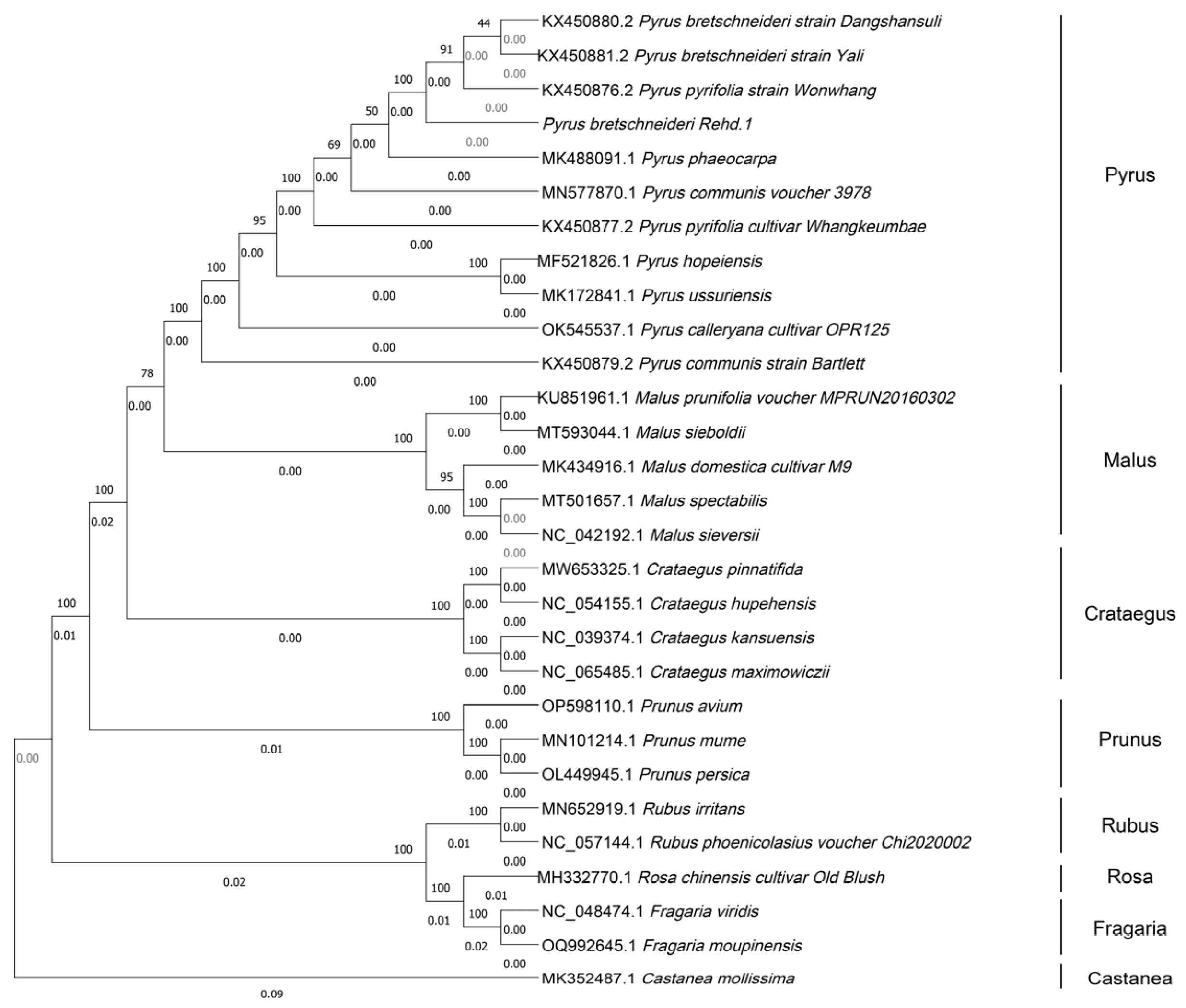 Horticulturae 10 00744 g007