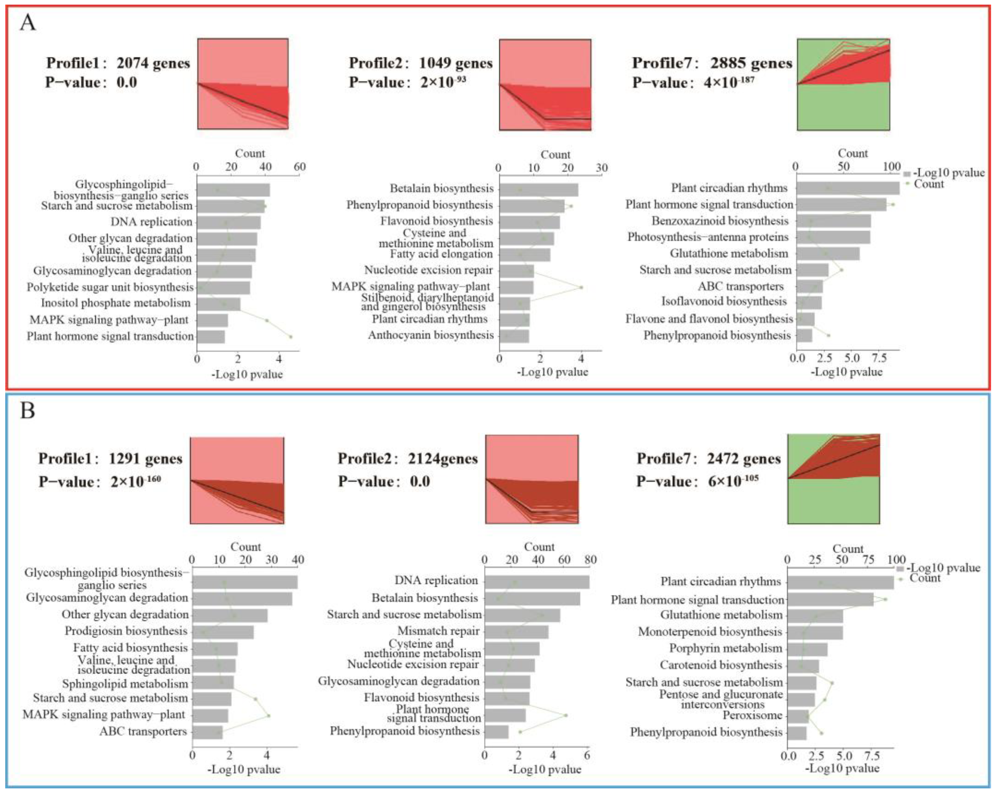 Horticulturae 10 00745 g004