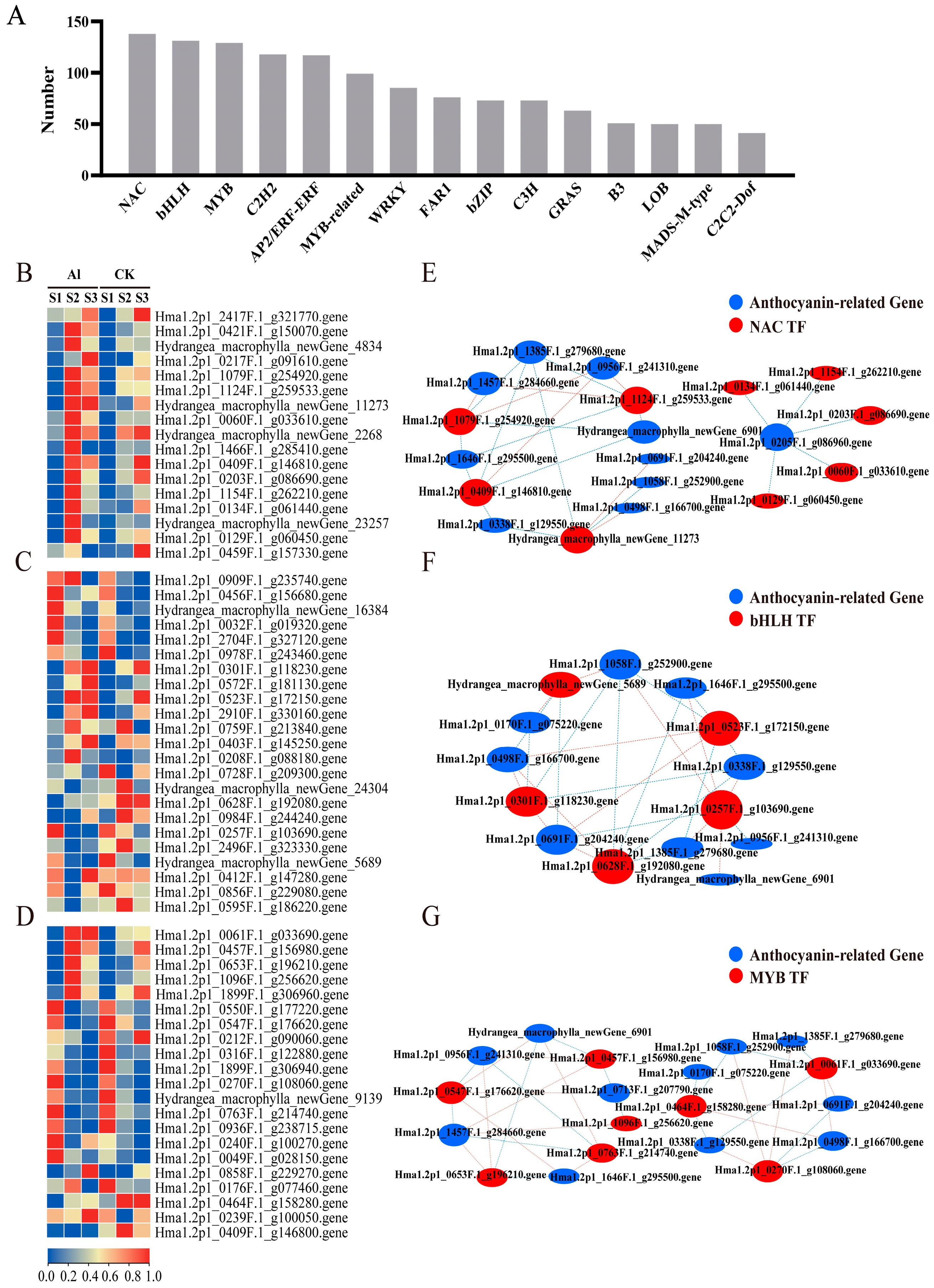 Horticulturae 10 00745 g006