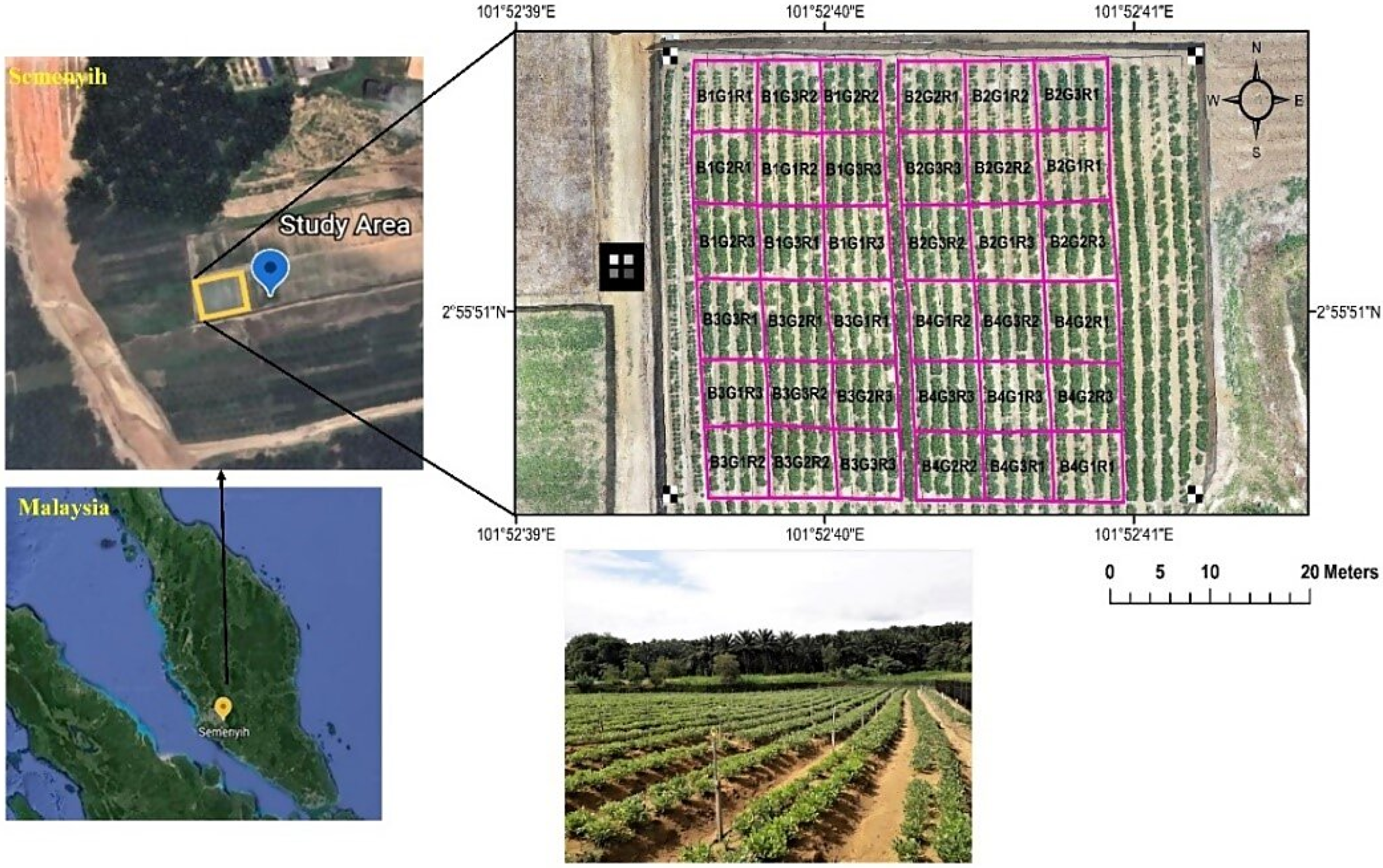 Horticulturae 10 00748 g001