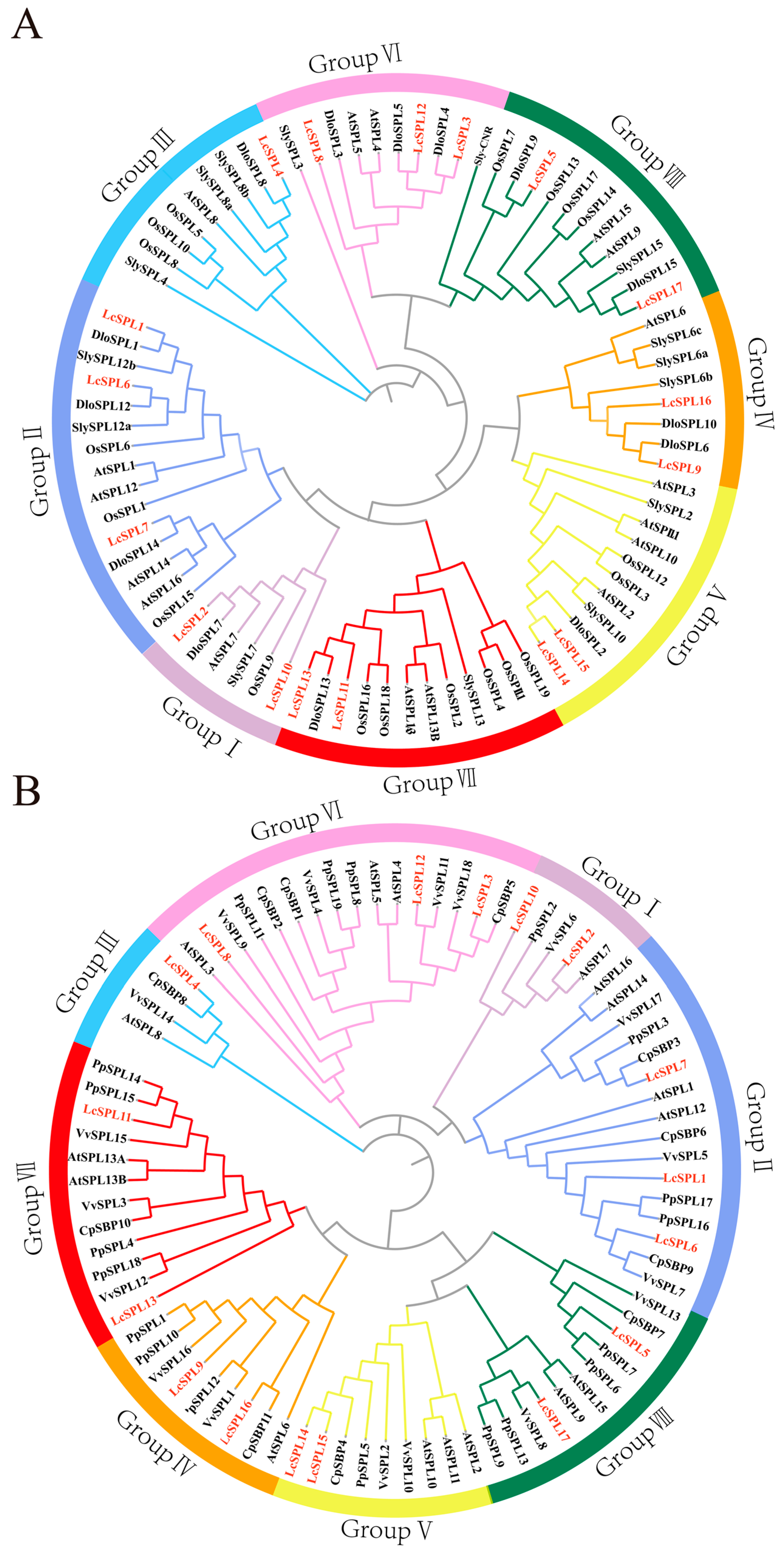 Horticulturae 10 00762 g003