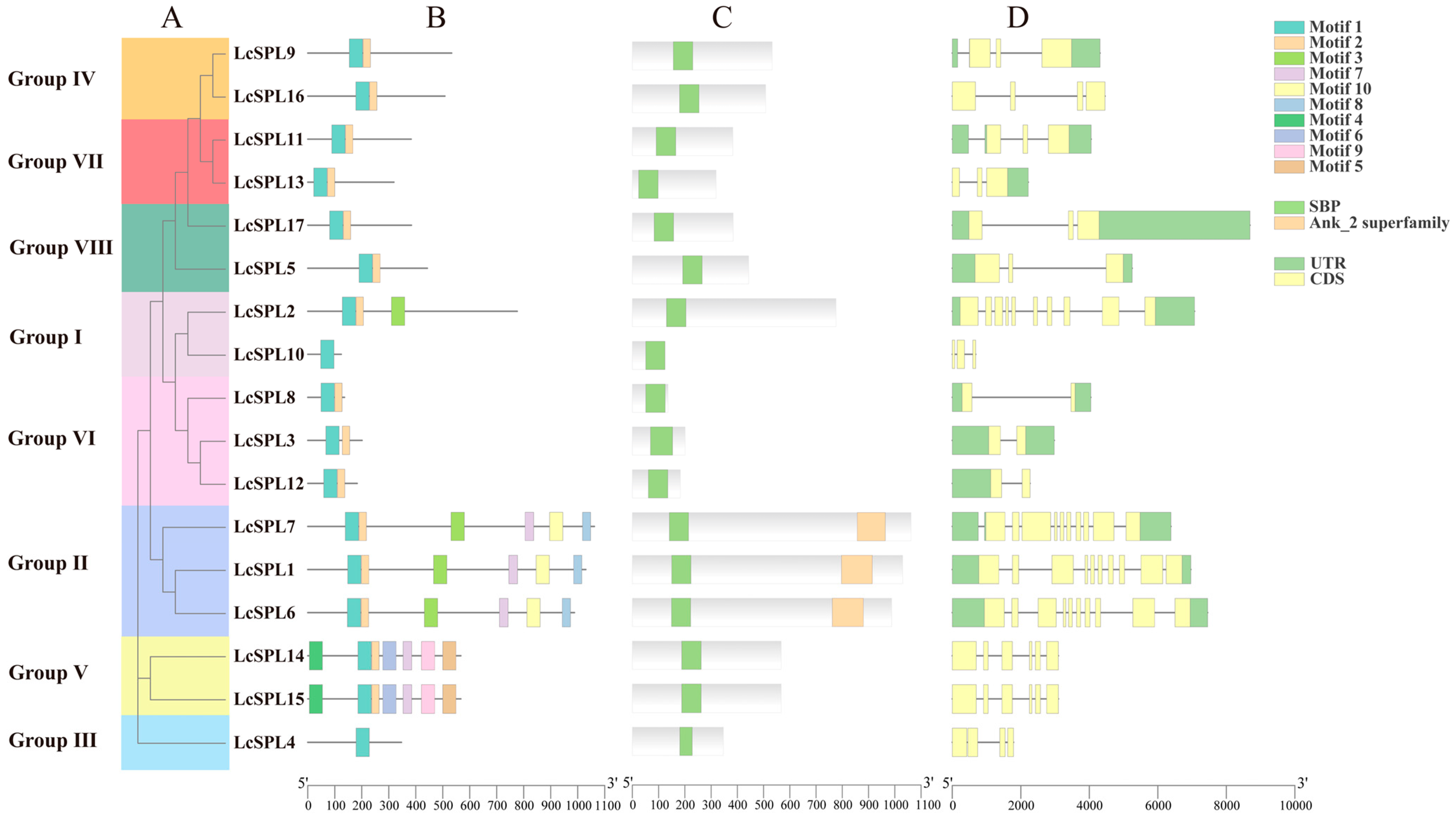 Horticulturae 10 00762 g004