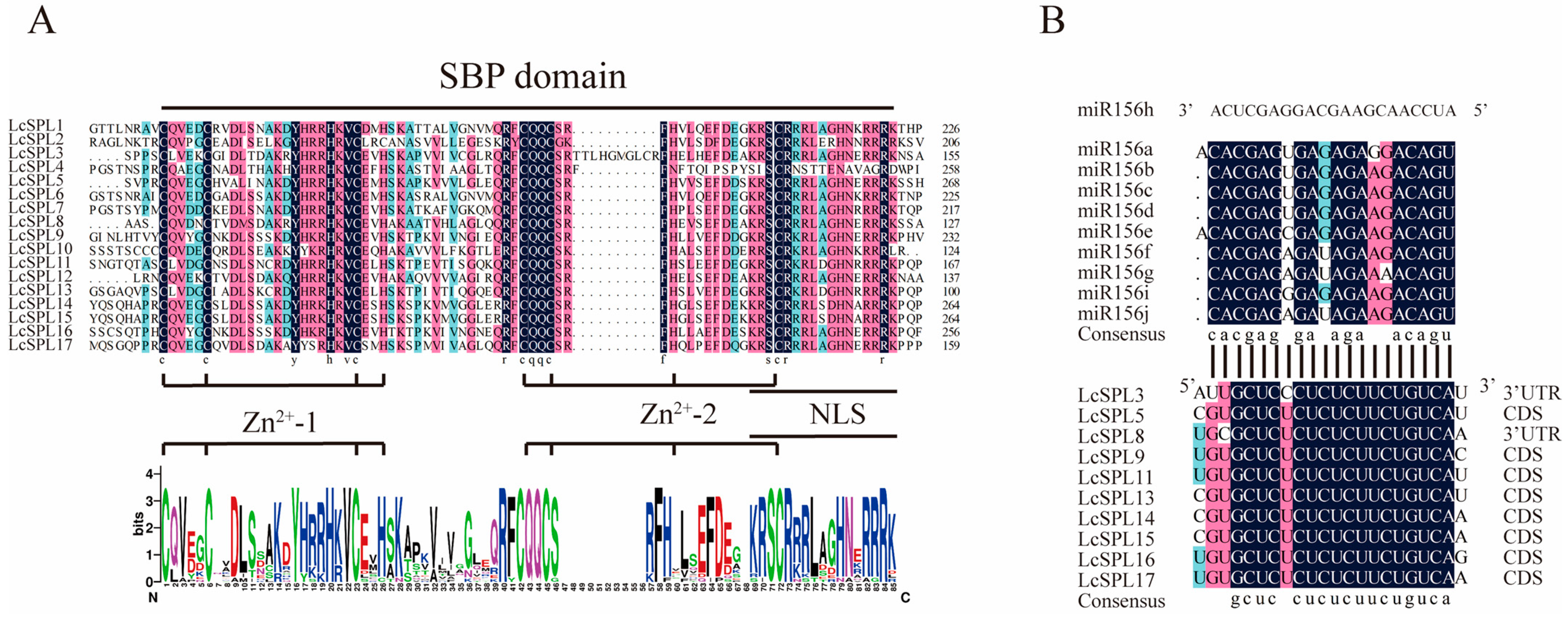 Horticulturae 10 00762 g005