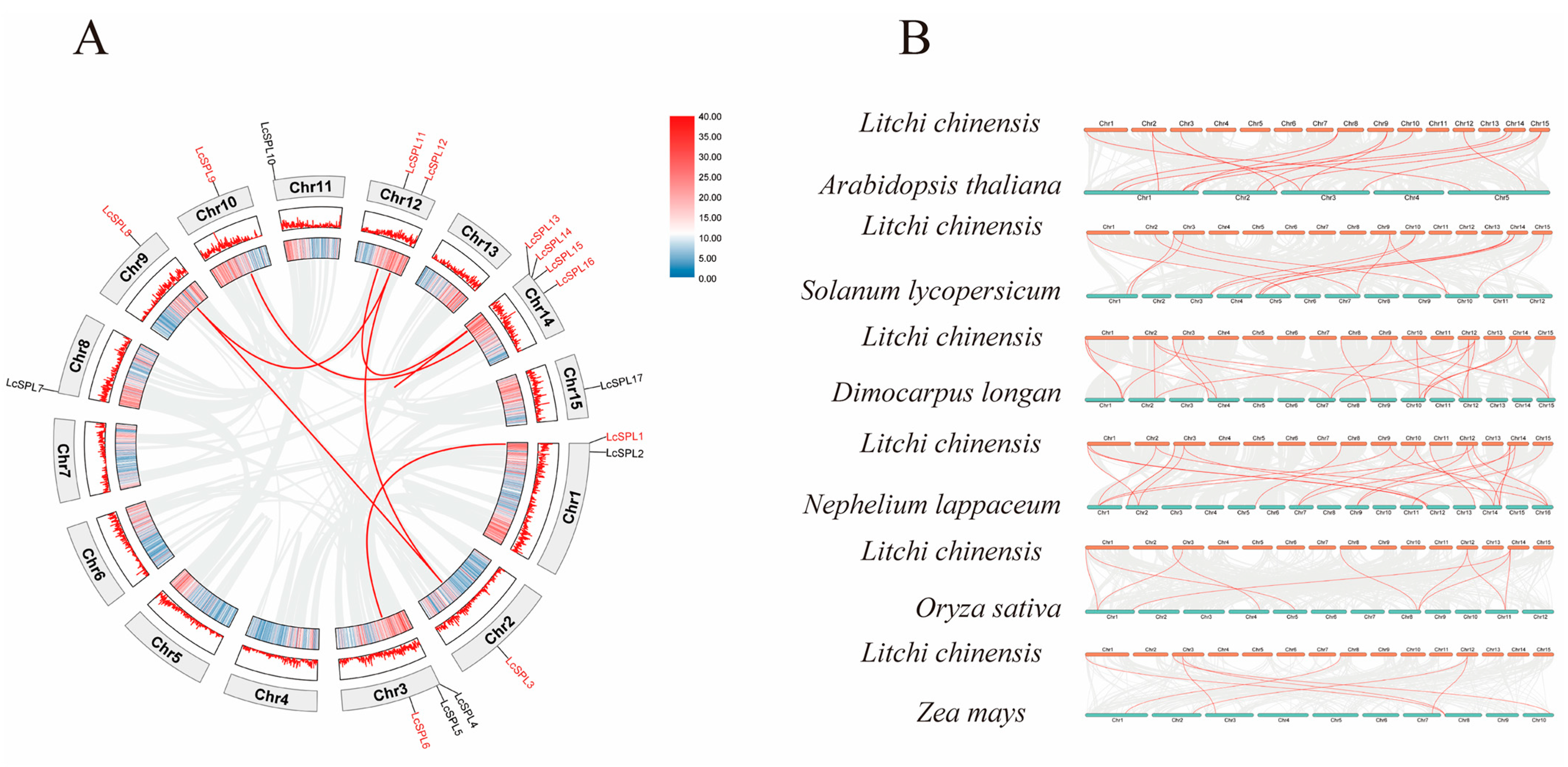 Horticulturae 10 00762 g006