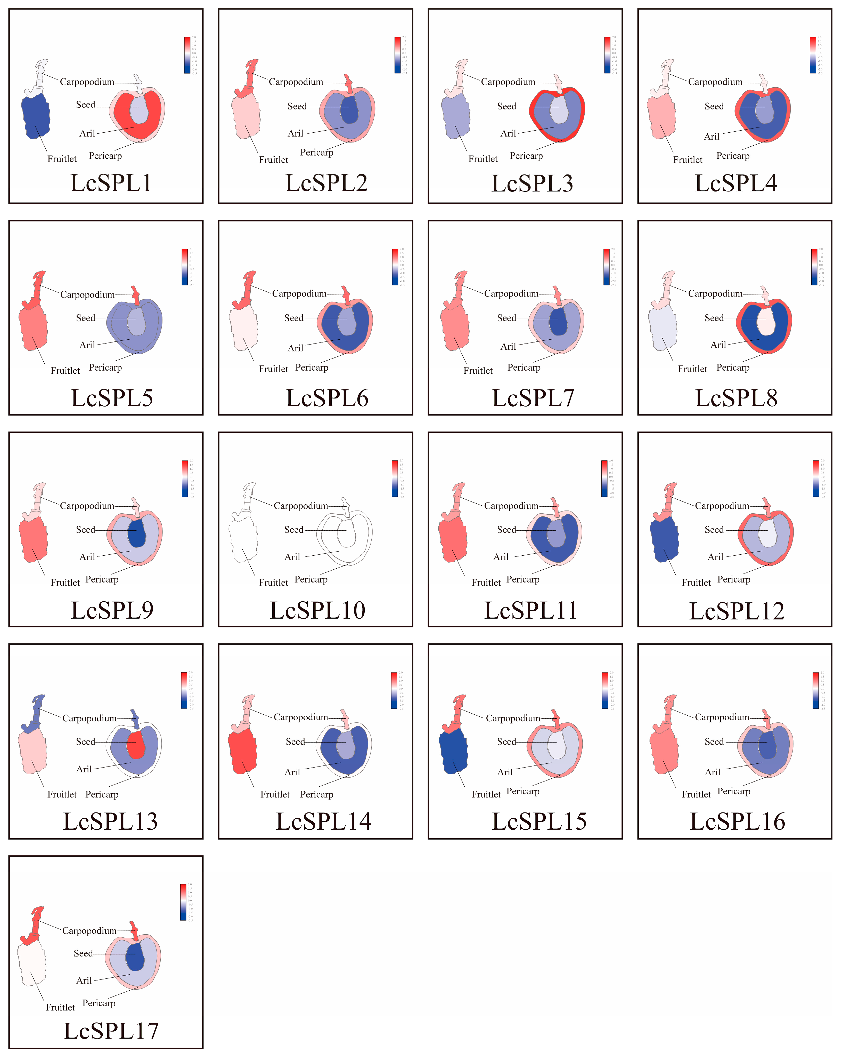 Horticulturae 10 00762 g010