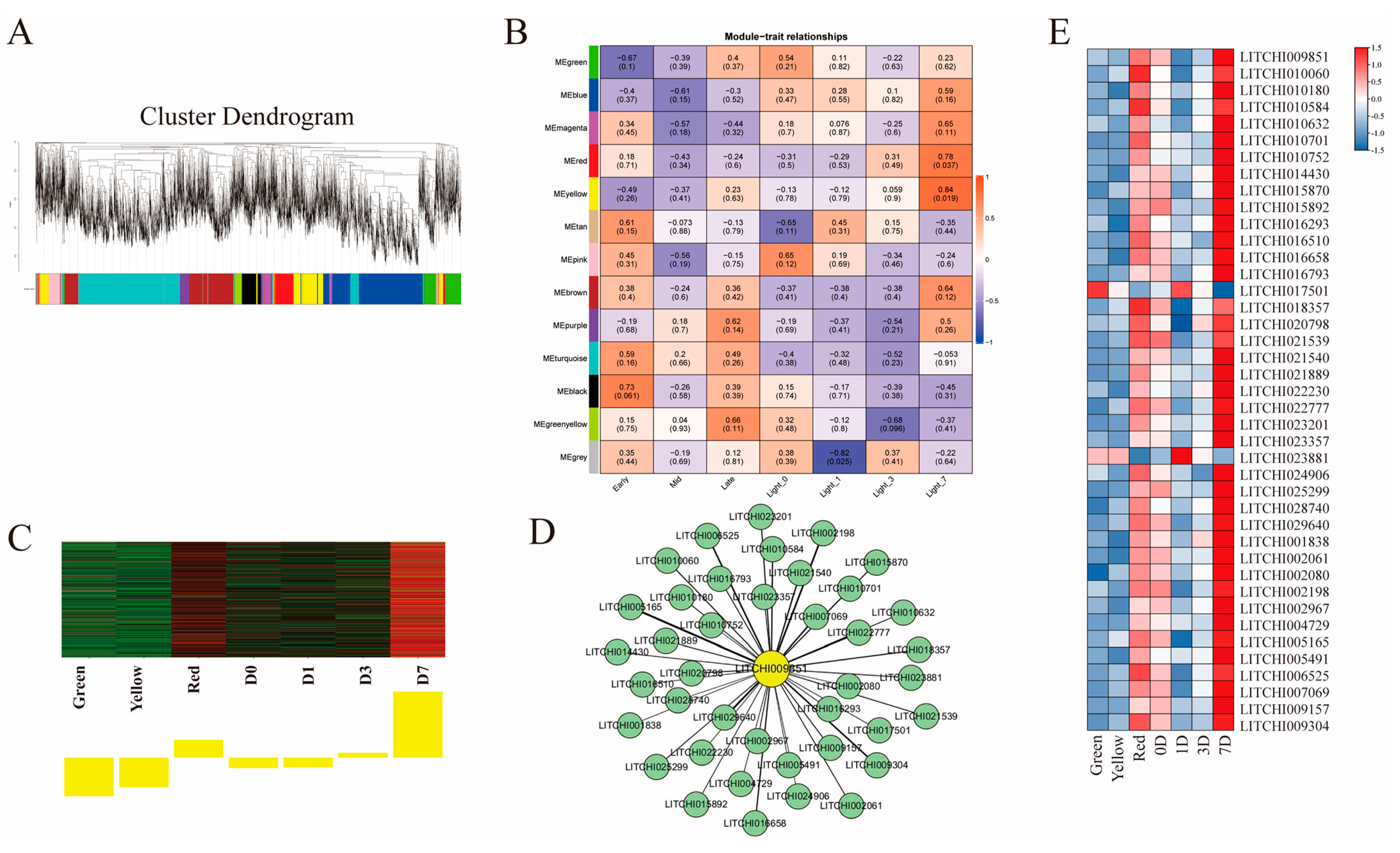 Horticulturae 10 00762 g011