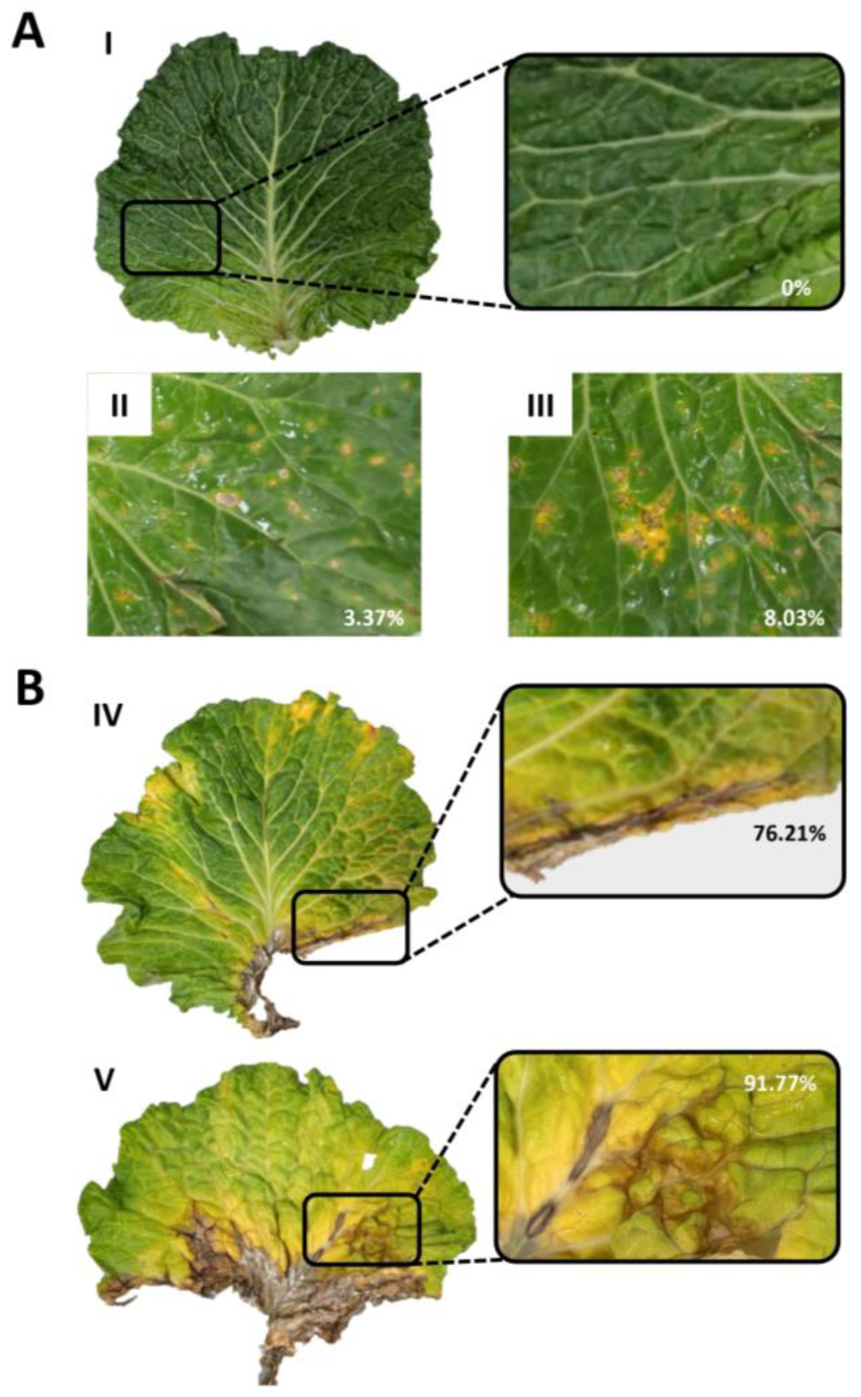 Horticulturae 10 00765 g001