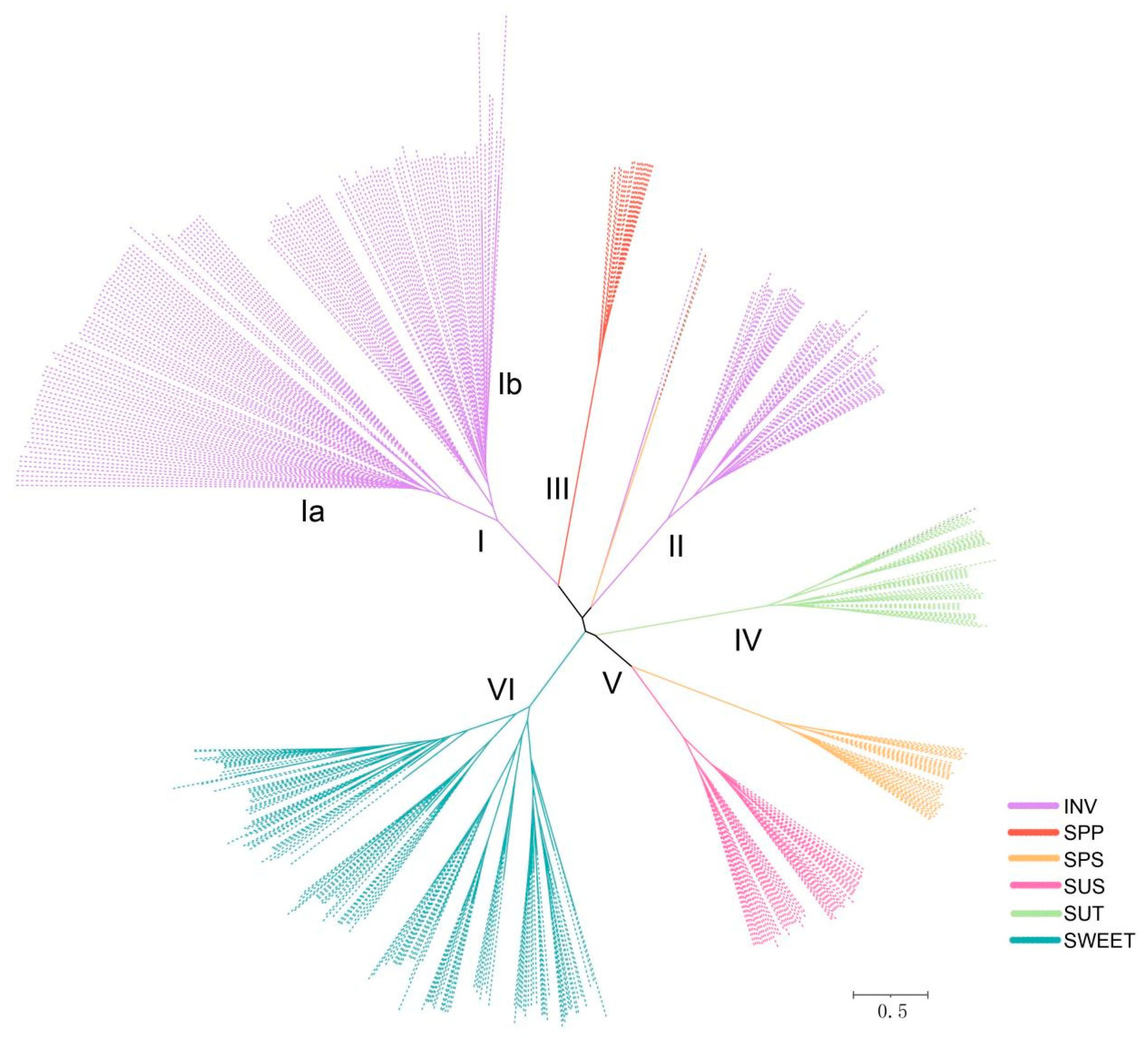 Horticulturae 10 00772 g001