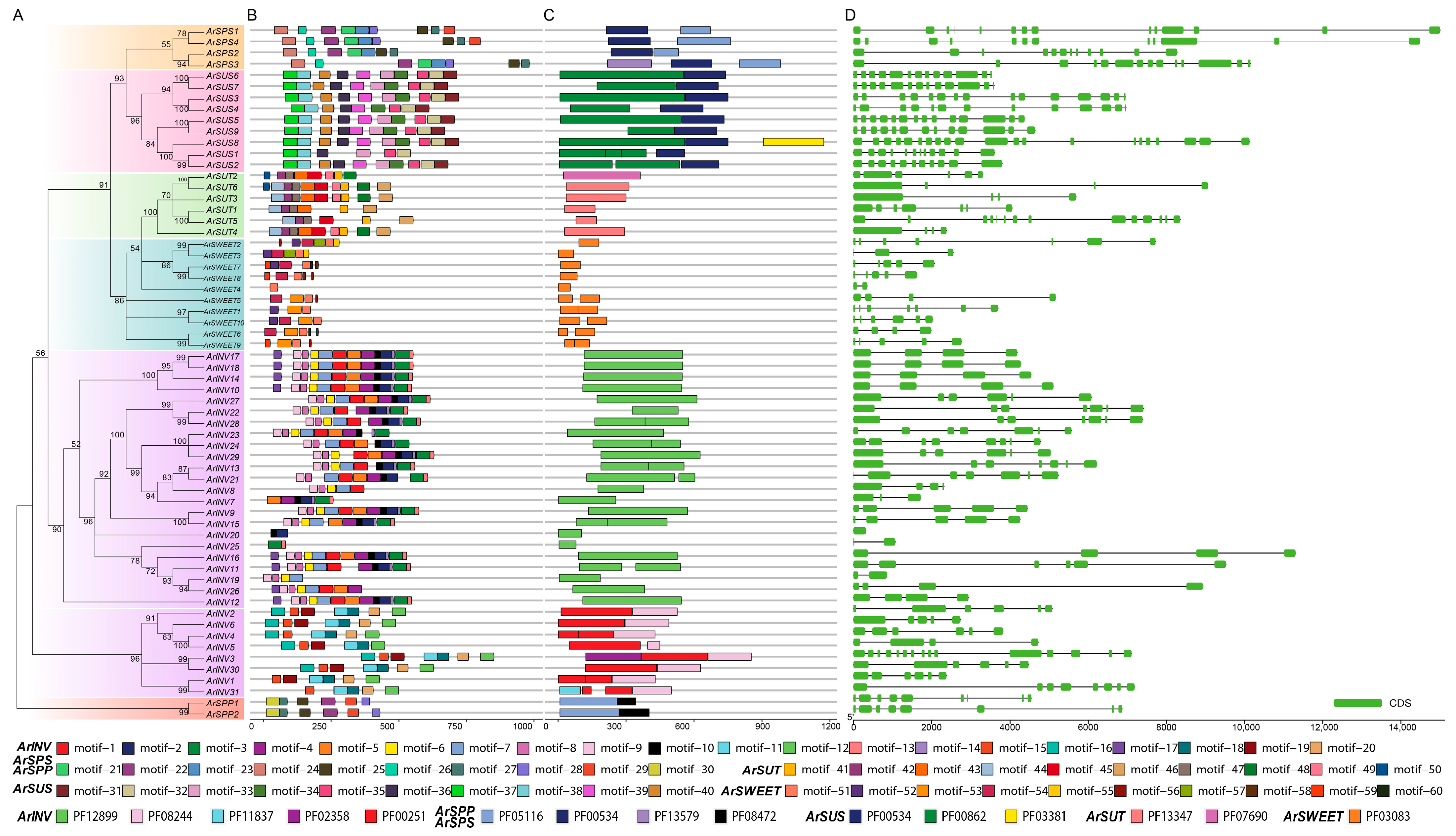 Horticulturae 10 00772 g002