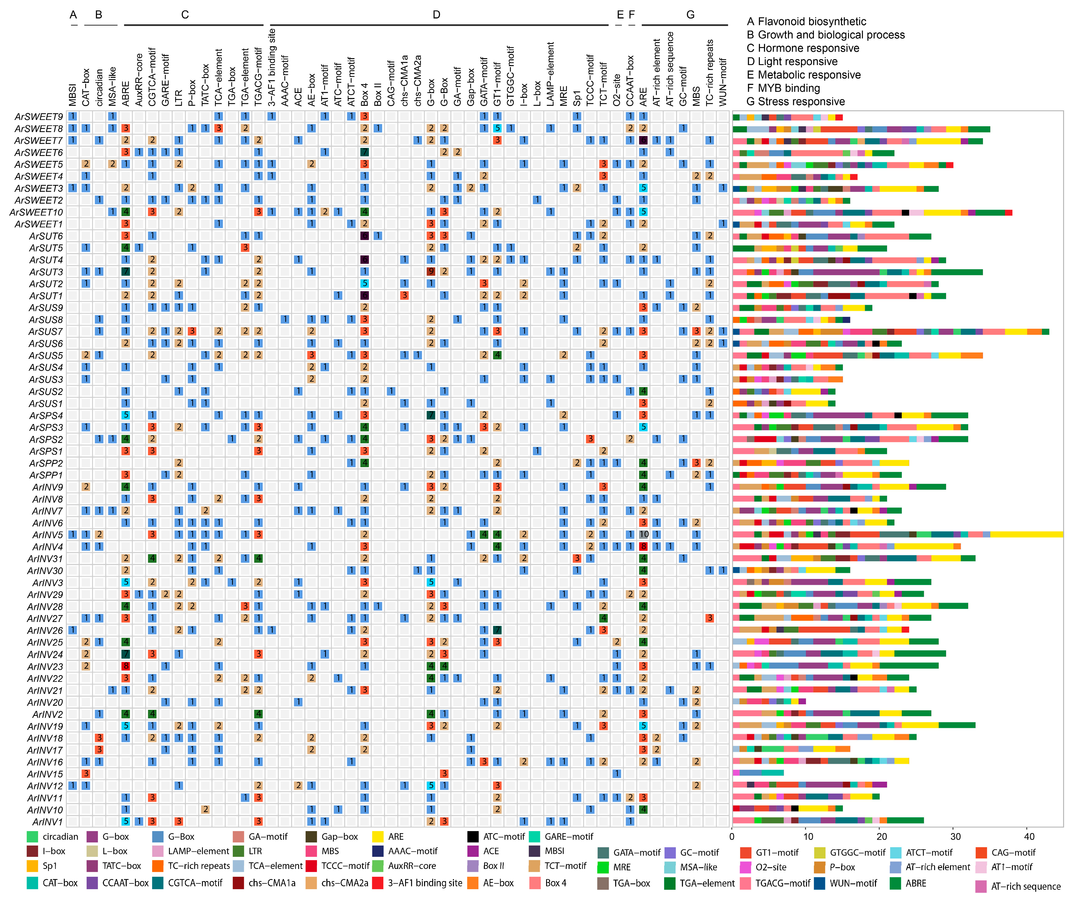 Horticulturae 10 00772 g003
