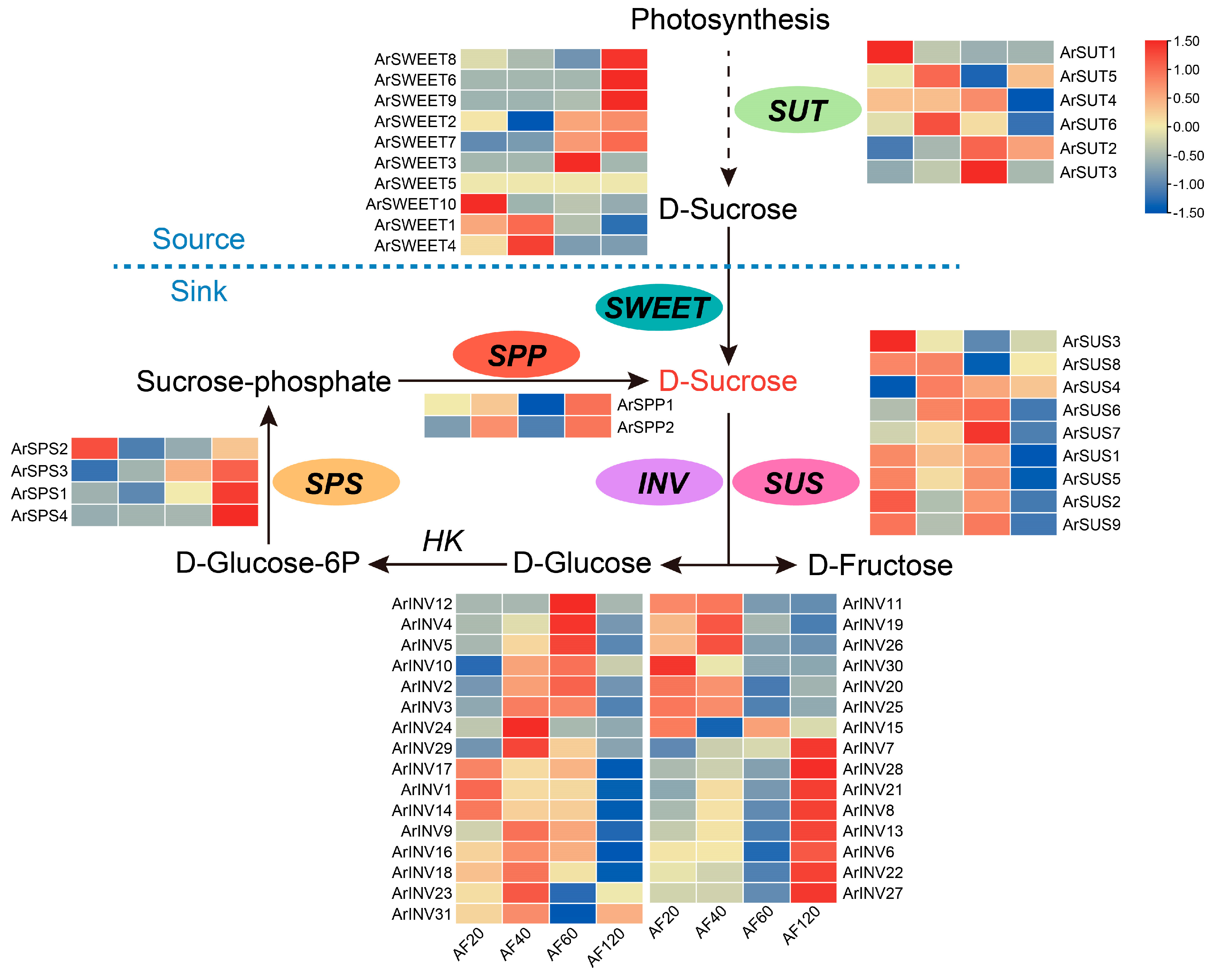 Horticulturae 10 00772 g004