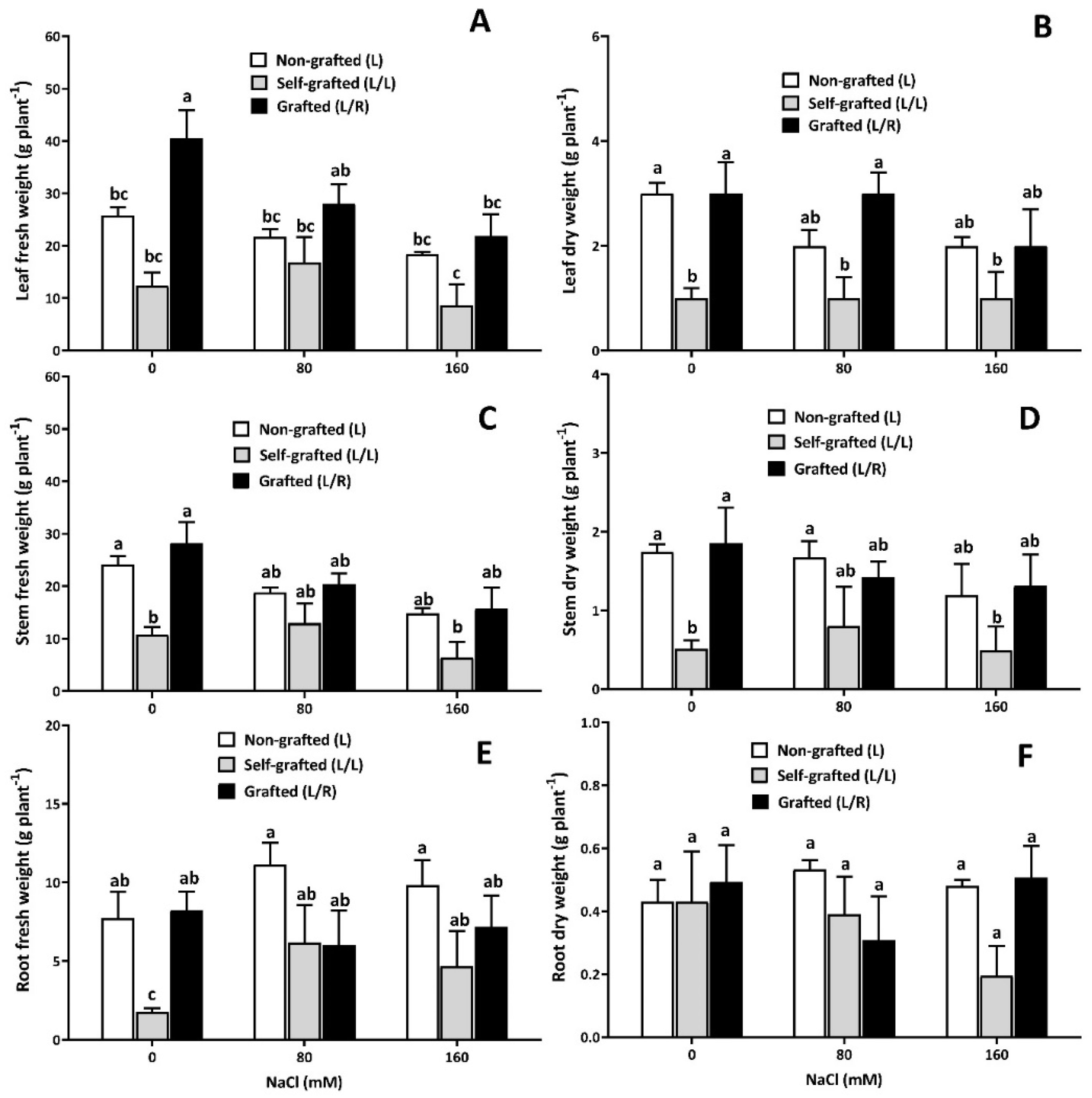 Horticulturae 10 00780 g001