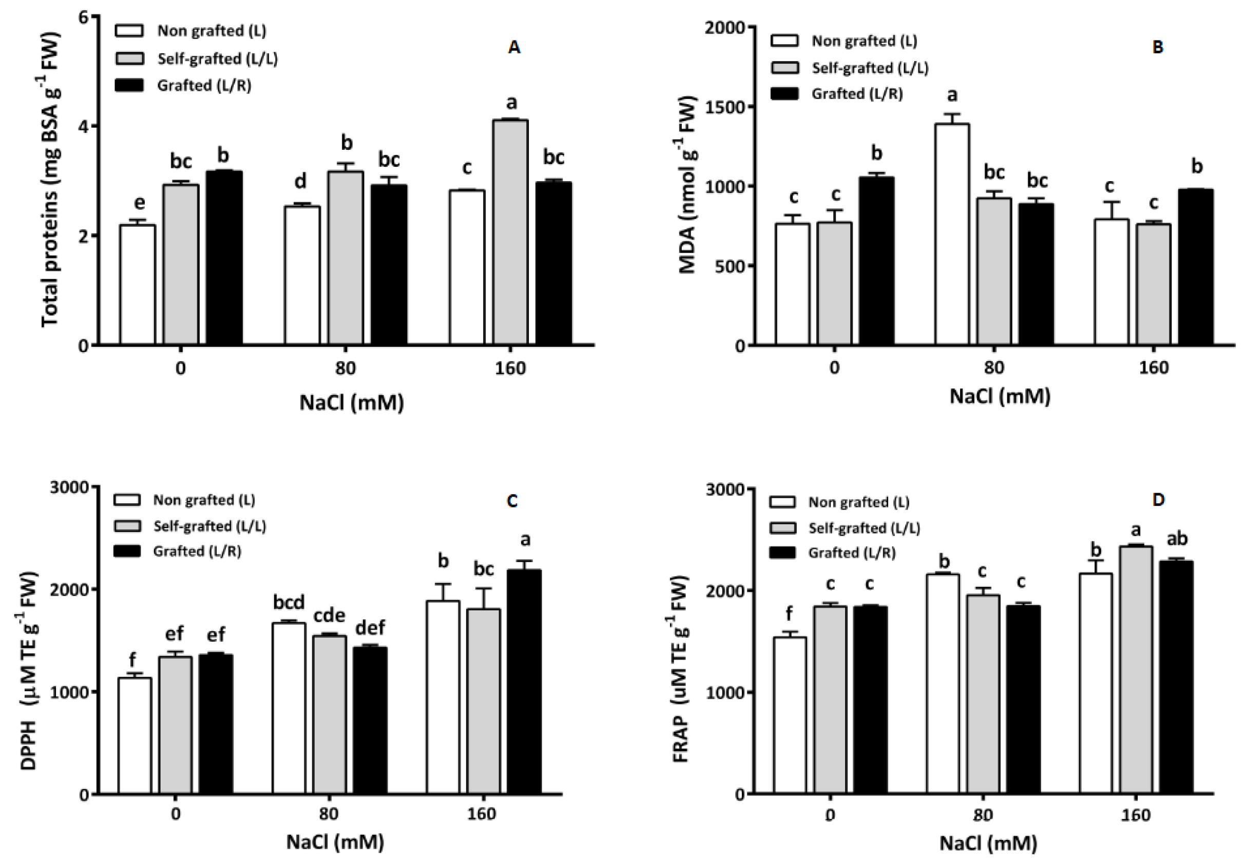 Horticulturae 10 00780 g006