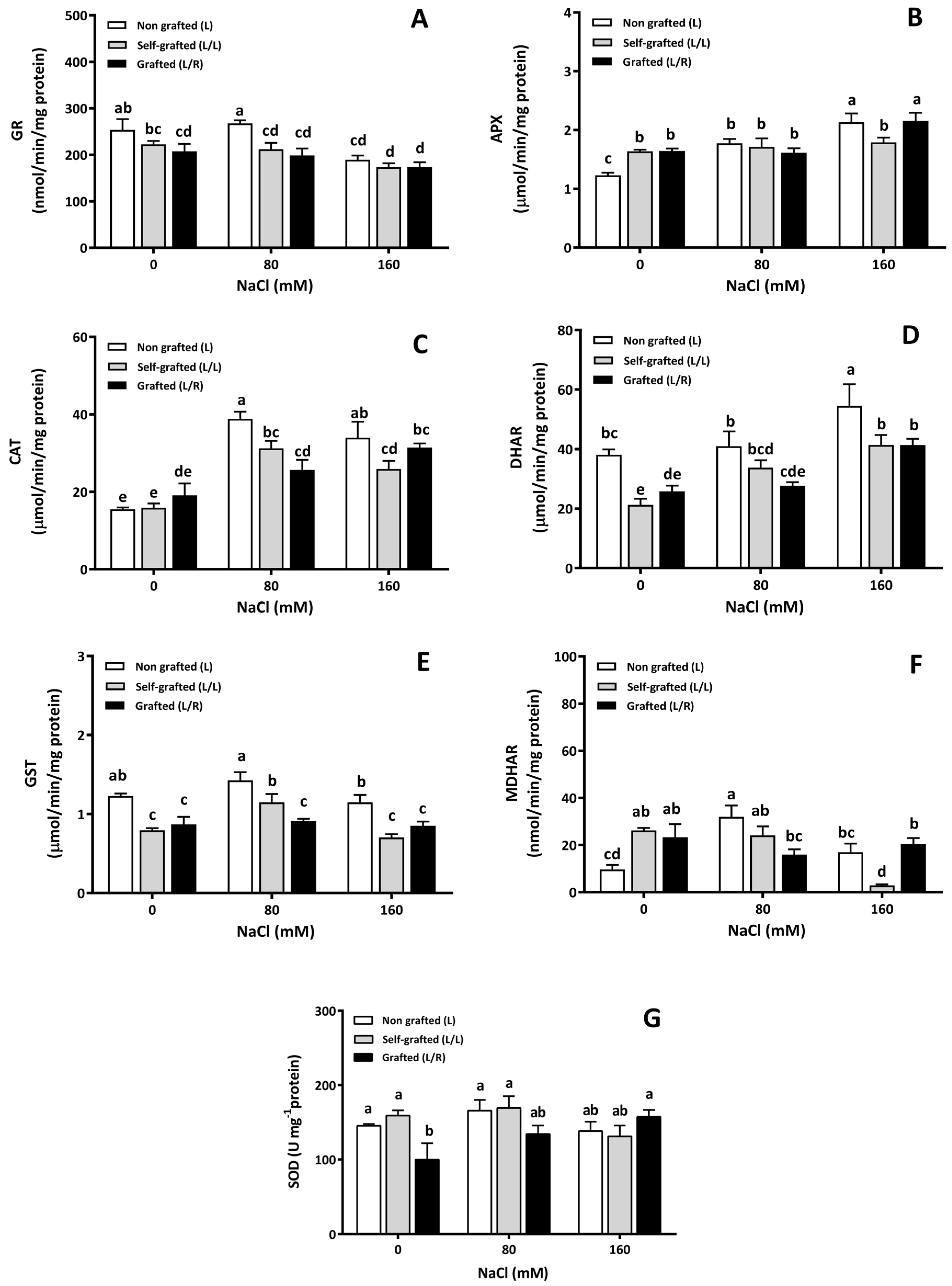 Horticulturae 10 00780 g010