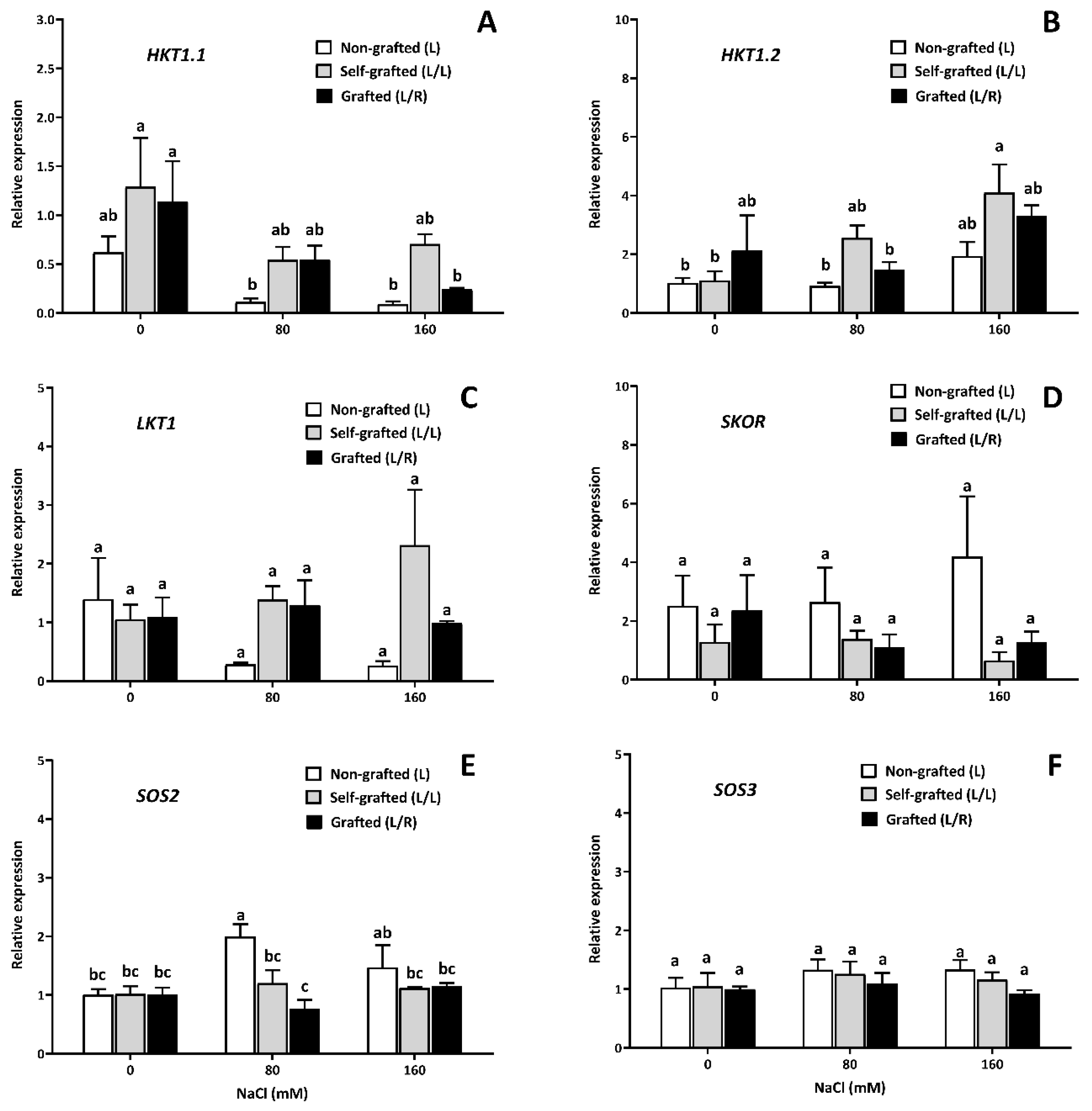 Horticulturae 10 00780 g011