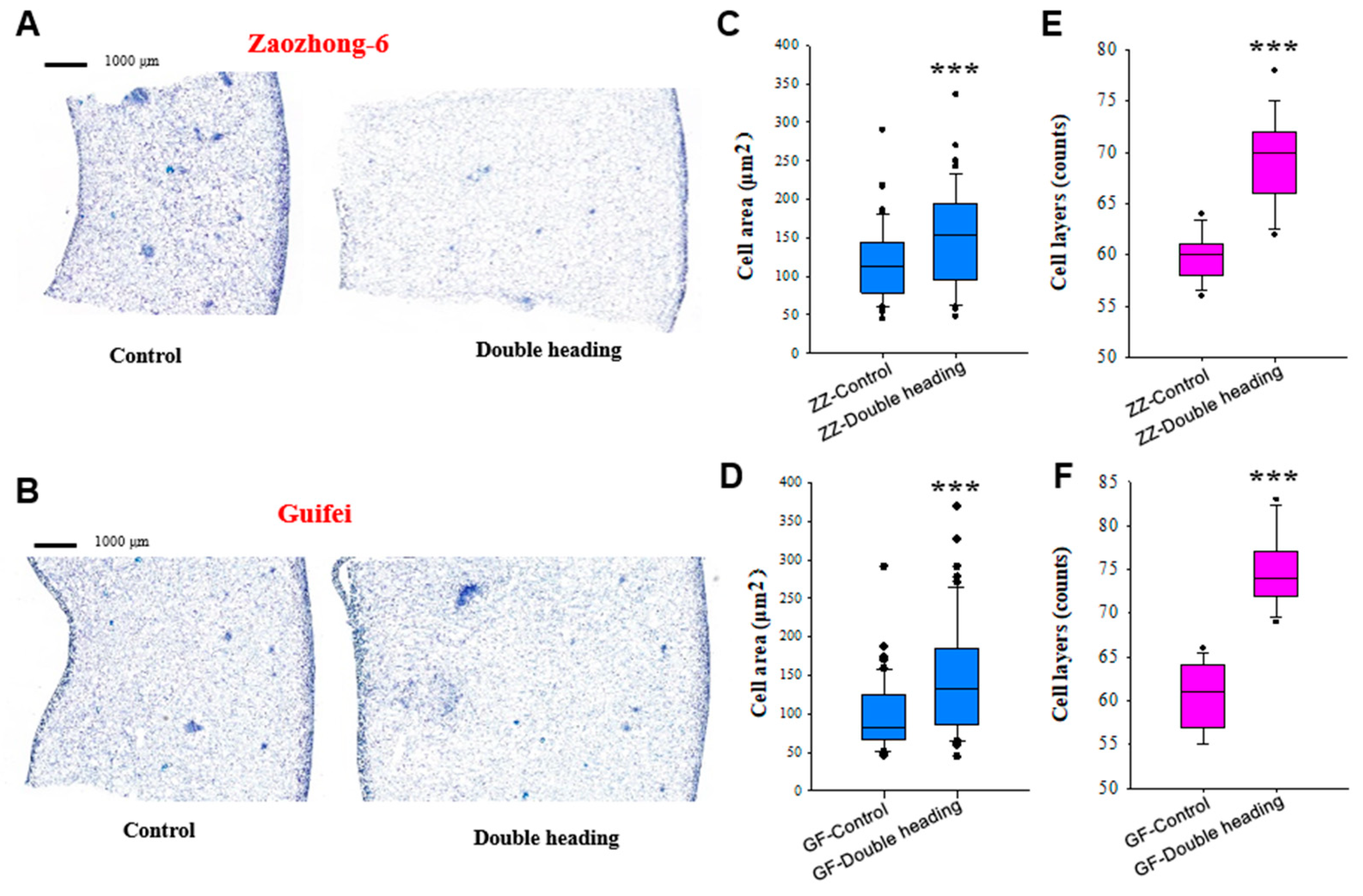 Horticulturae 10 00793 g004