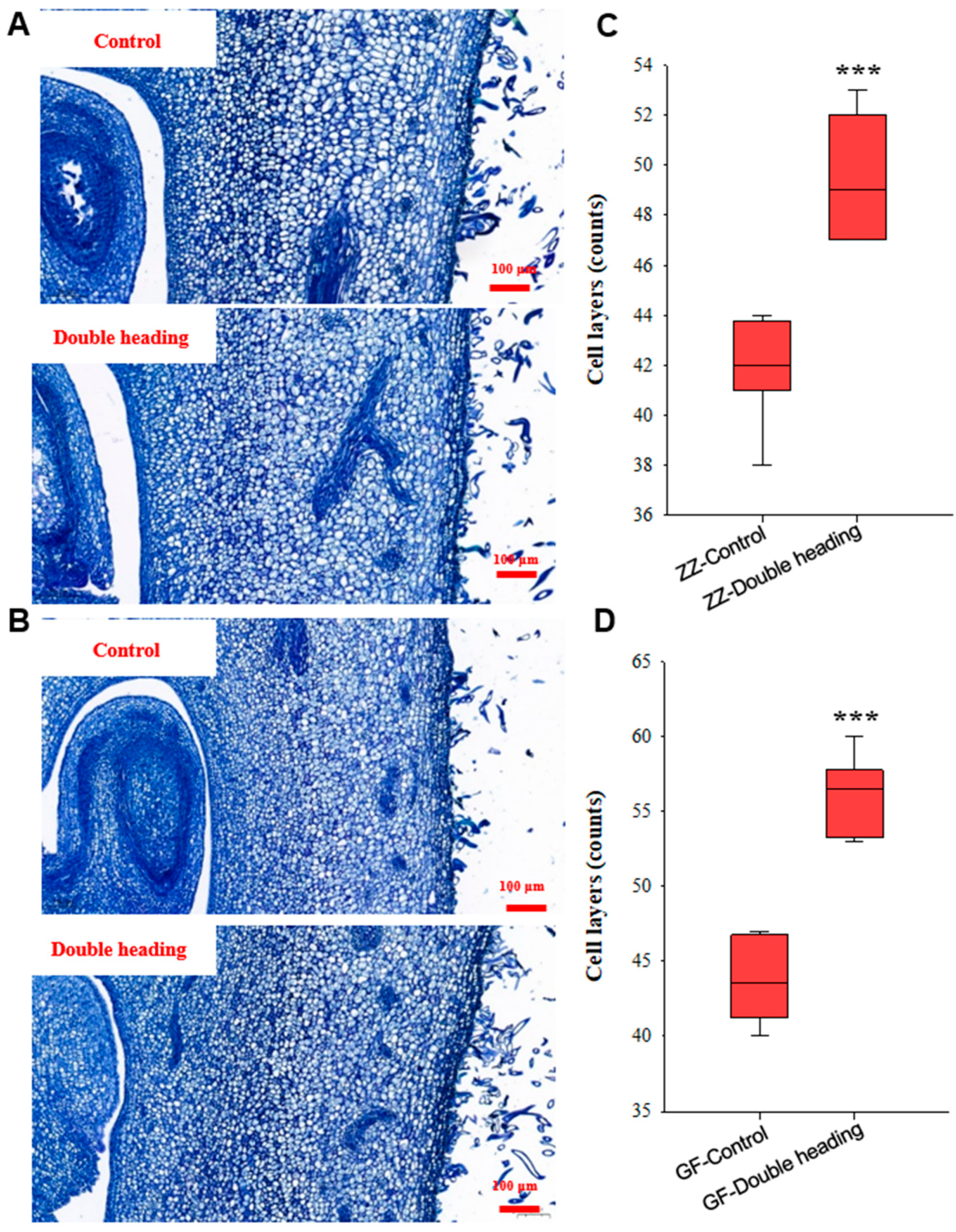 Horticulturae 10 00793 g005