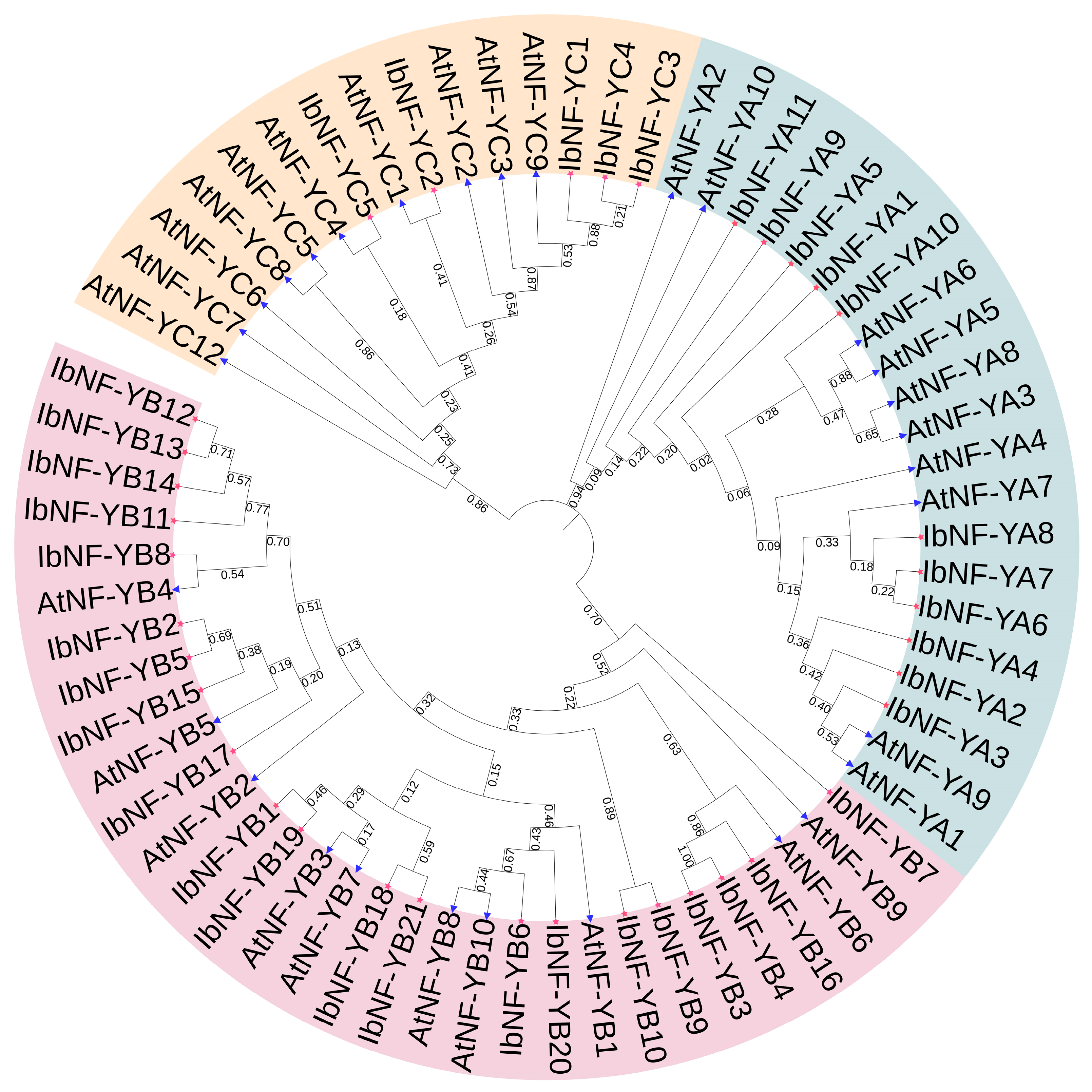 Horticulturae 10 00798 g001 Horticulturae 10 00798 g001