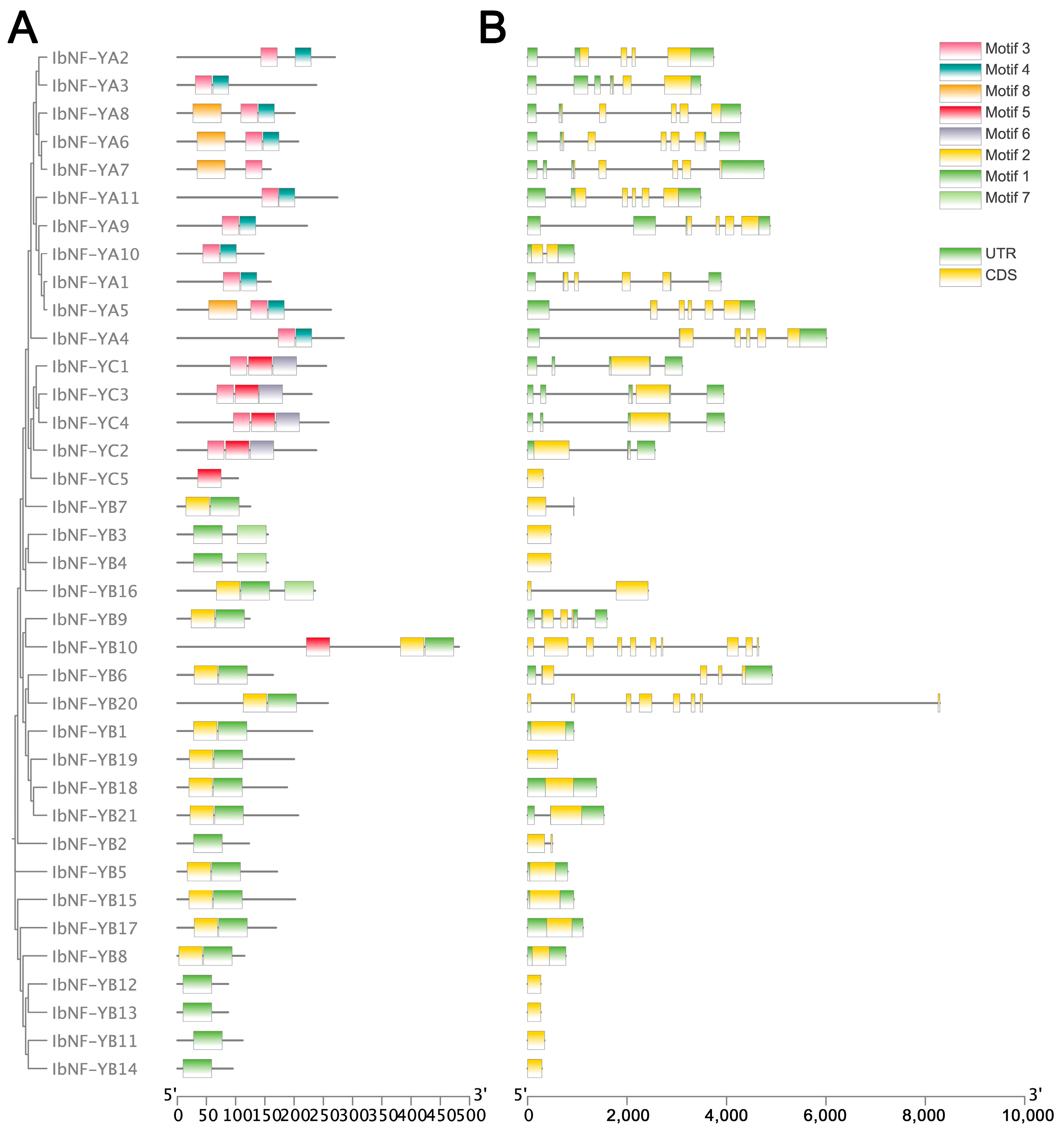 Horticulturae 10 00798 g002 Horticulturae 10 00798 g002