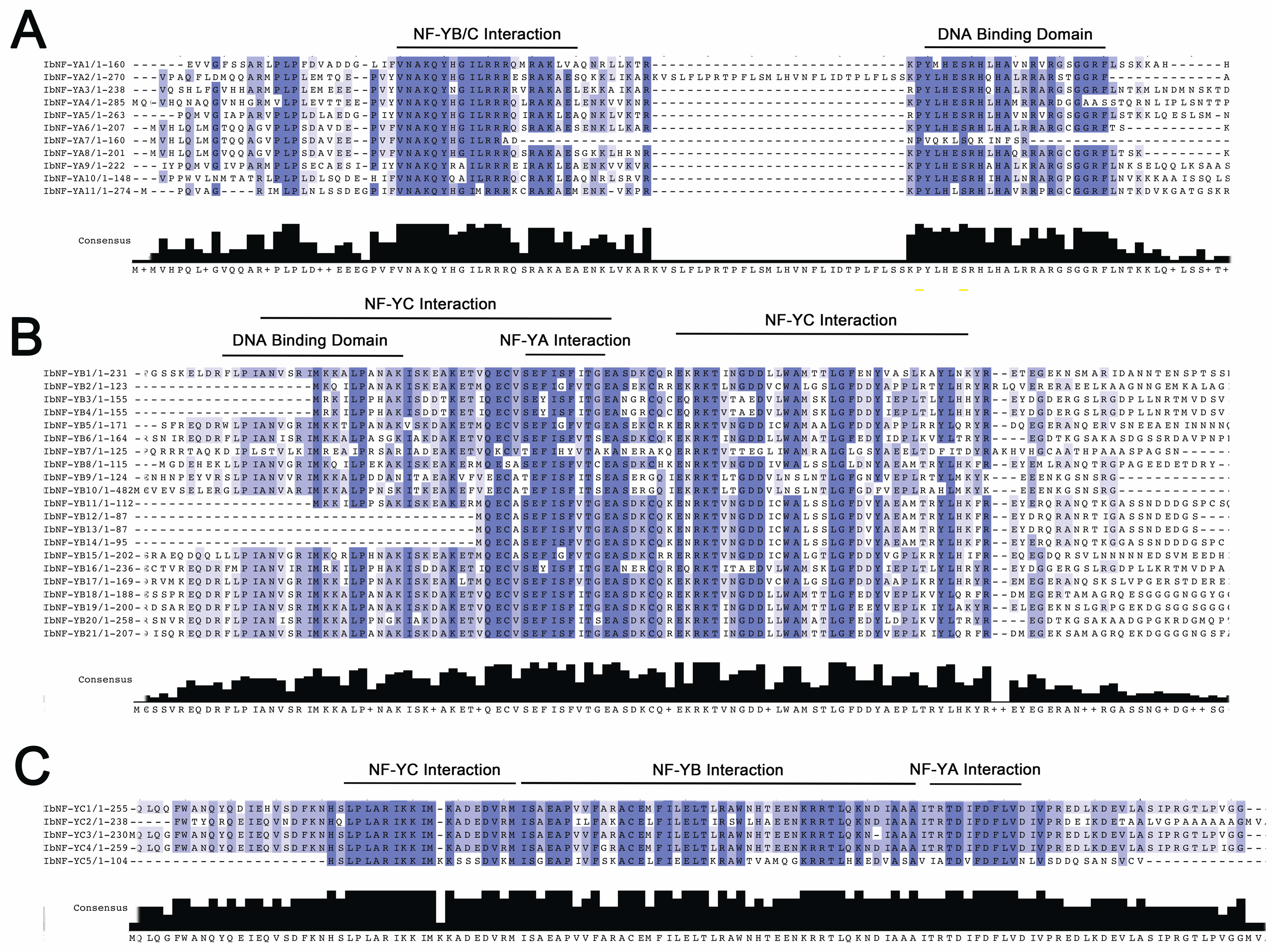 Horticulturae 10 00798 g003 Horticulturae 10 00798 g003