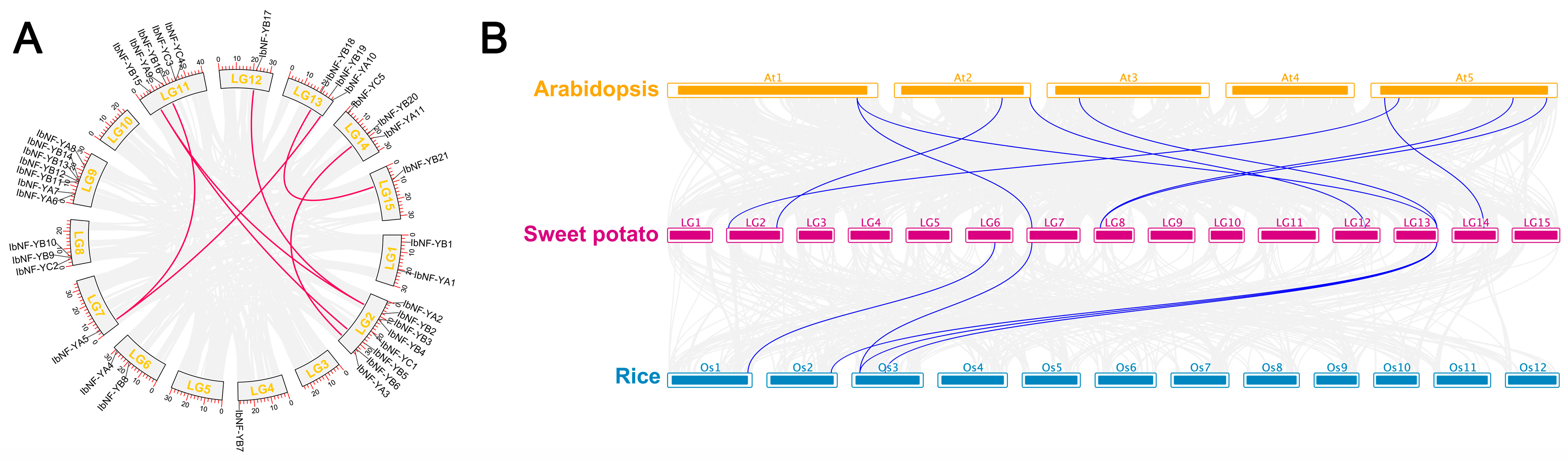 Horticulturae 10 00798 g004 Horticulturae 10 00798 g004
