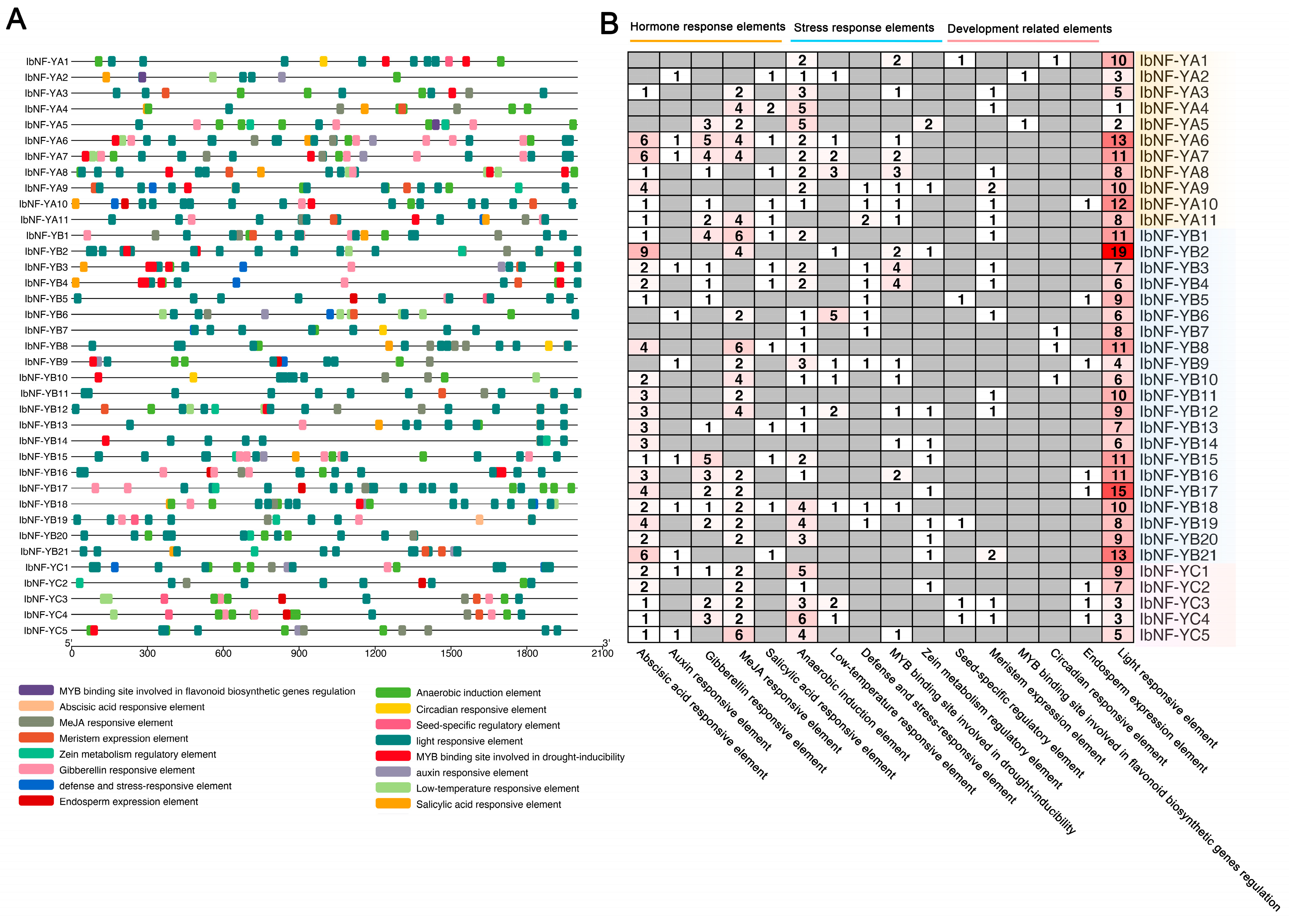 Horticulturae 10 00798 g005 Horticulturae 10 00798 g005