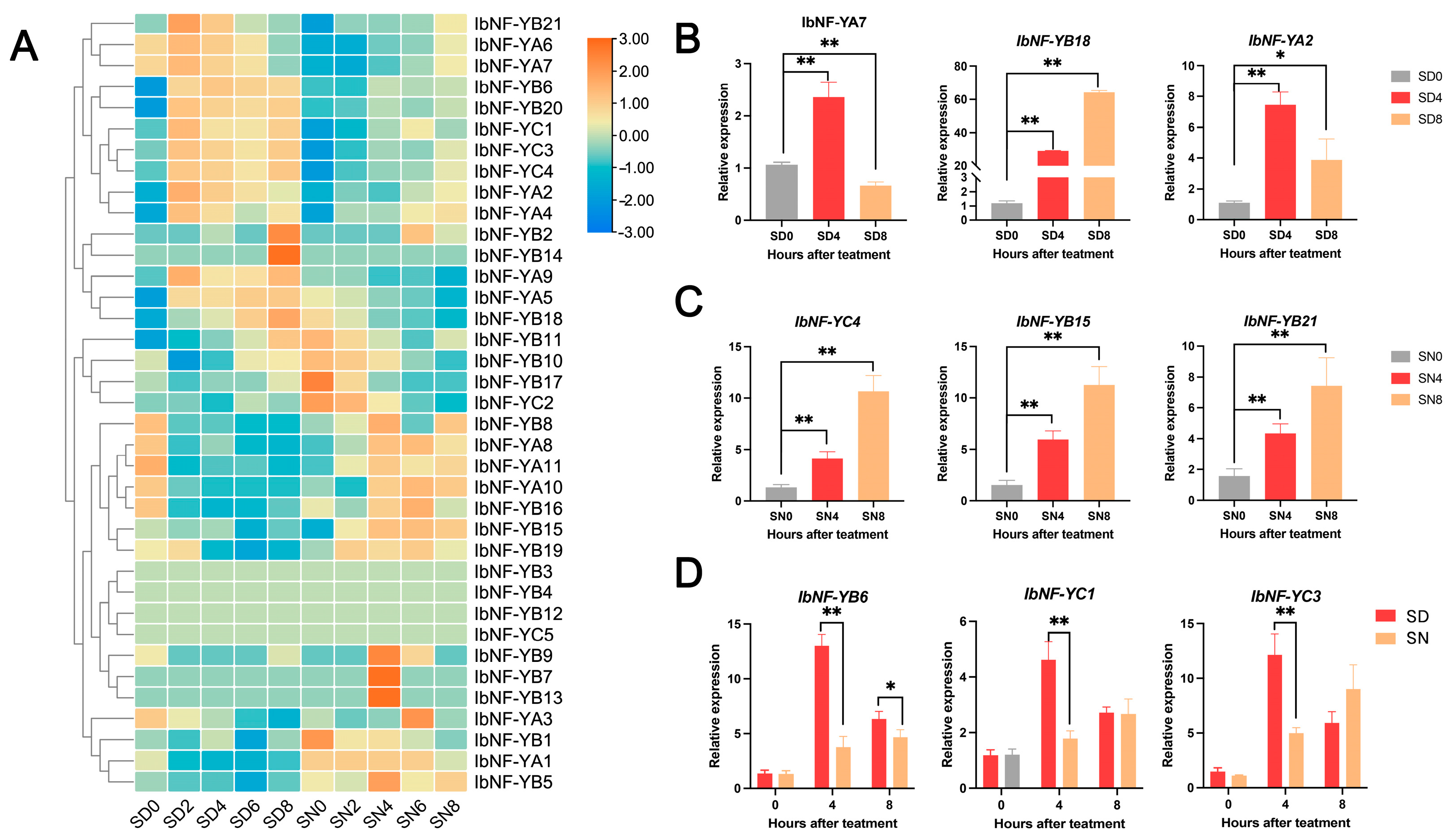 Horticulturae 10 00798 g007 Horticulturae 10 00798 g007