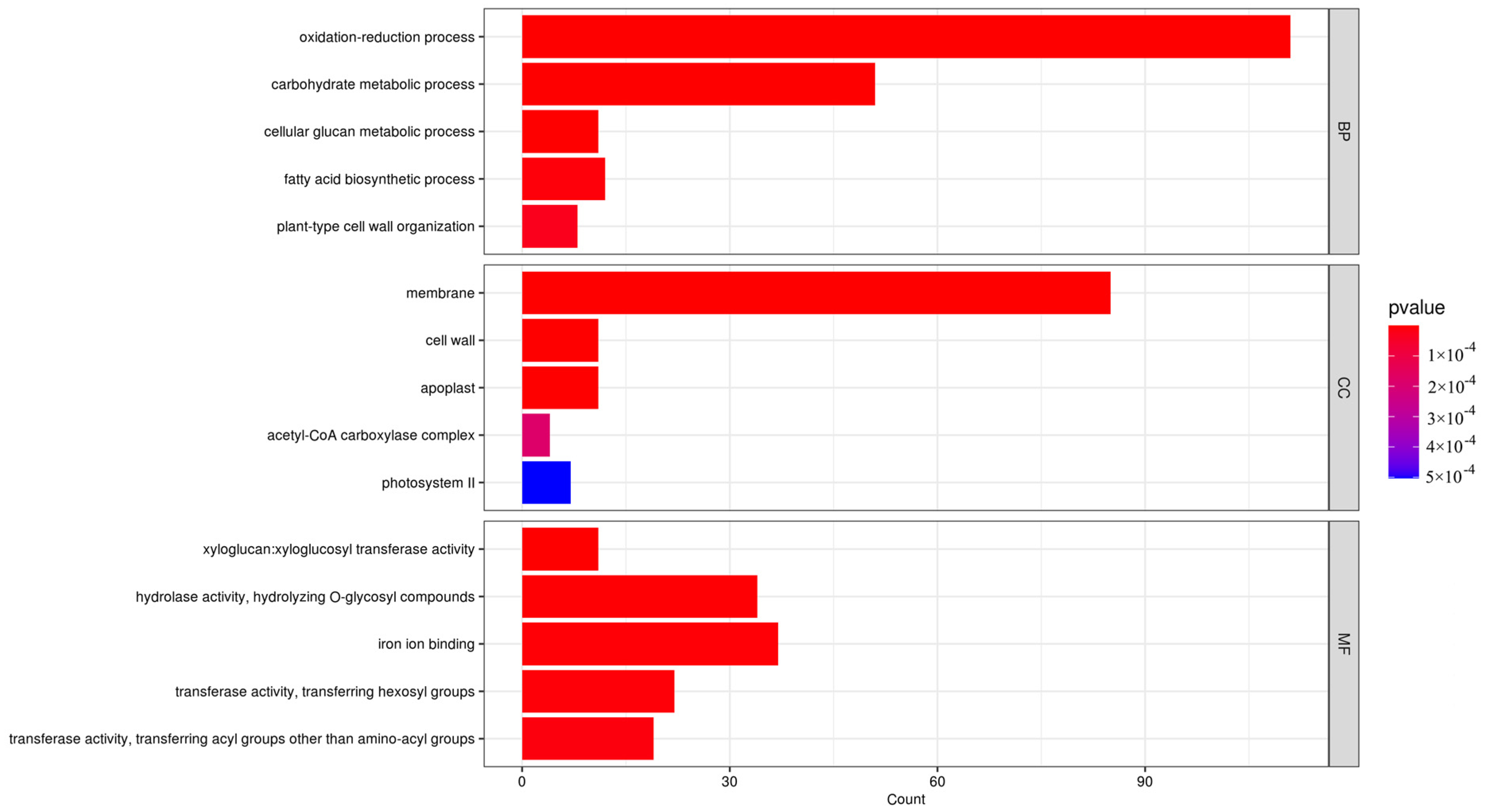 Horticulturae 10 00801 g005