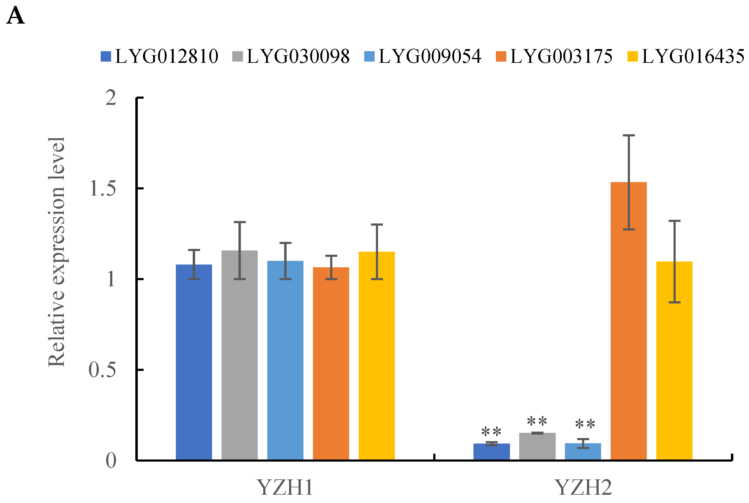 Horticulturae 10 00801 g008a
