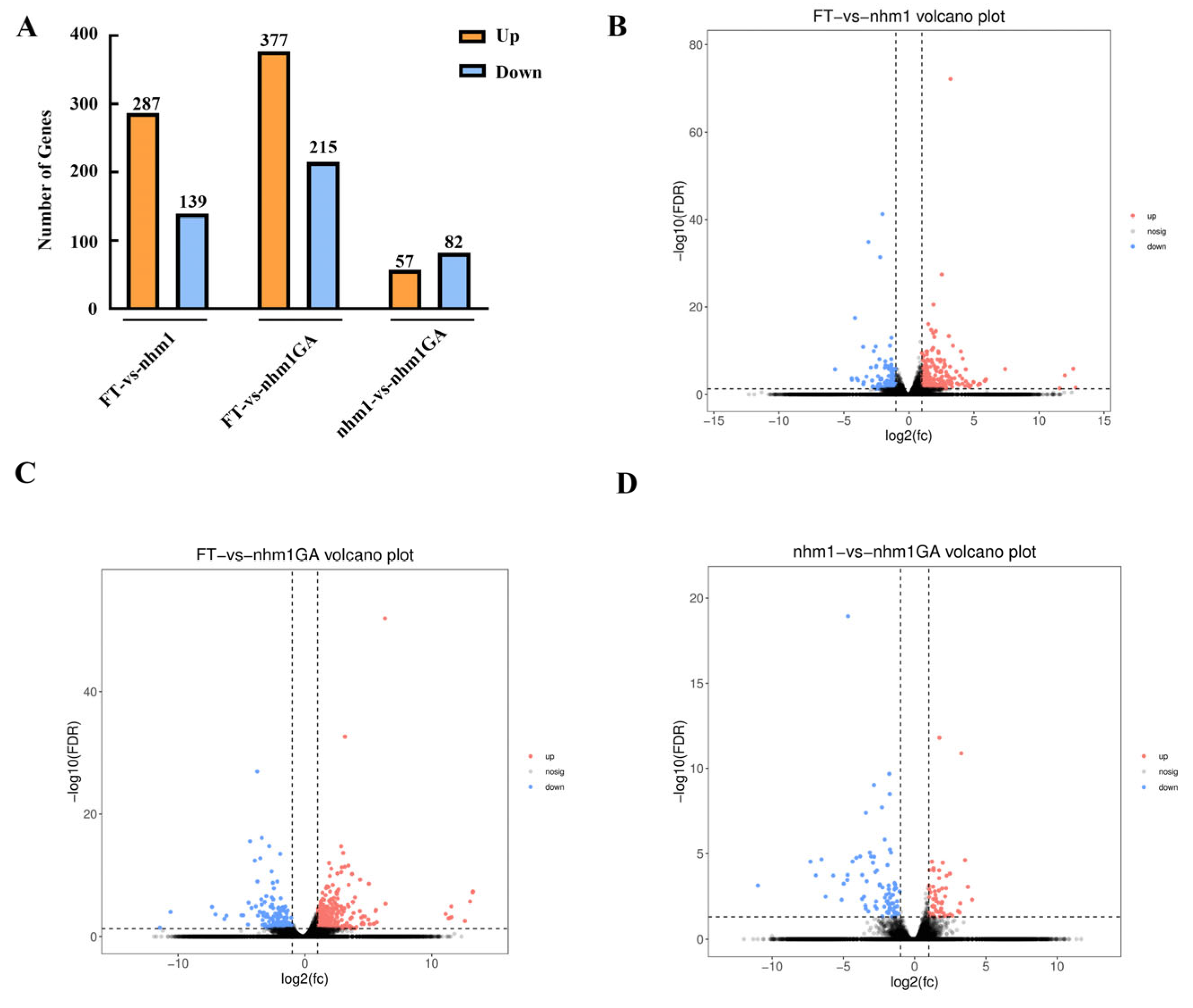 Horticulturae 10 00804 g006 Horticulturae 10 00804 g006