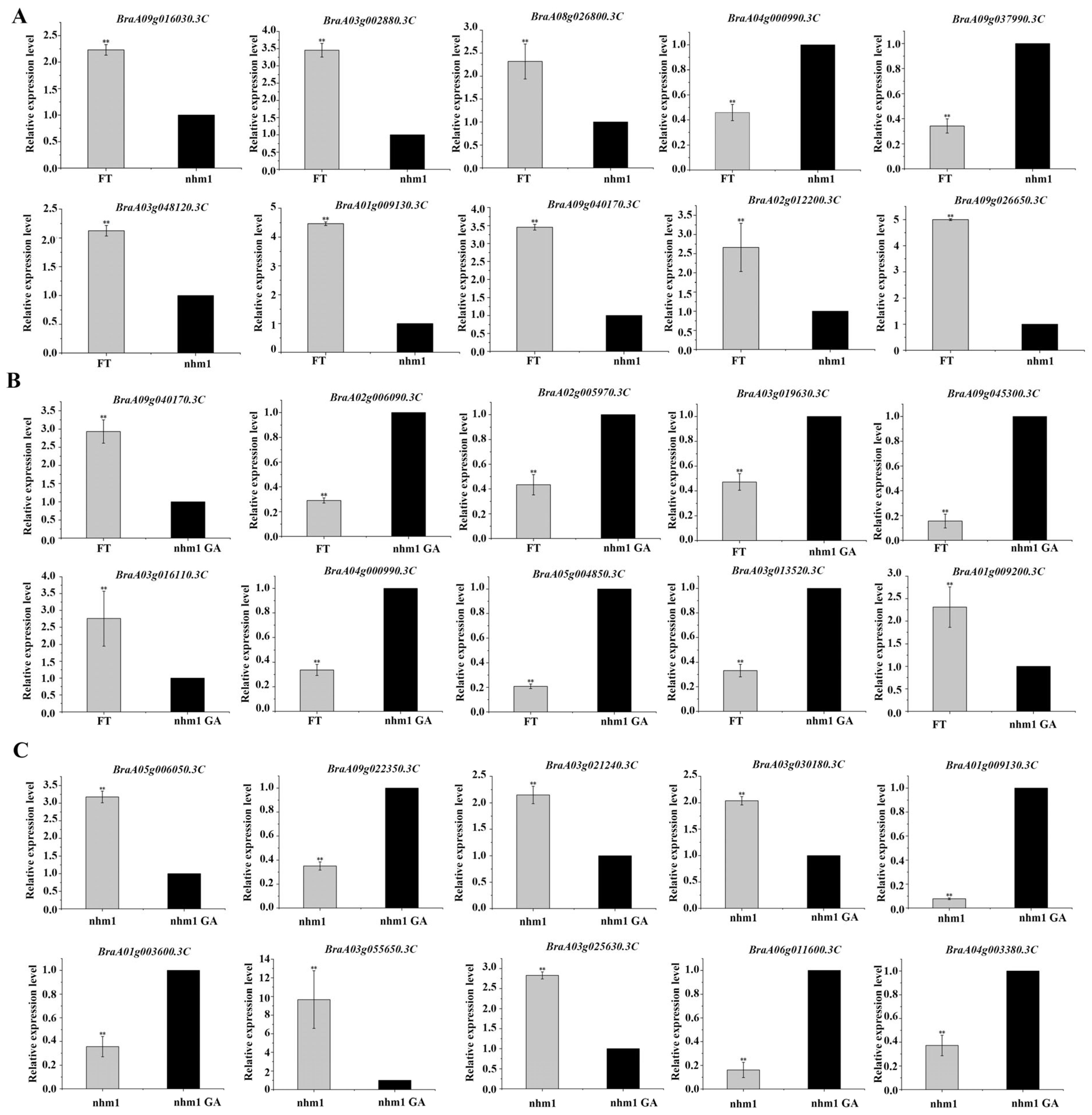Horticulturae 10 00804 g009 Horticulturae 10 00804 g009