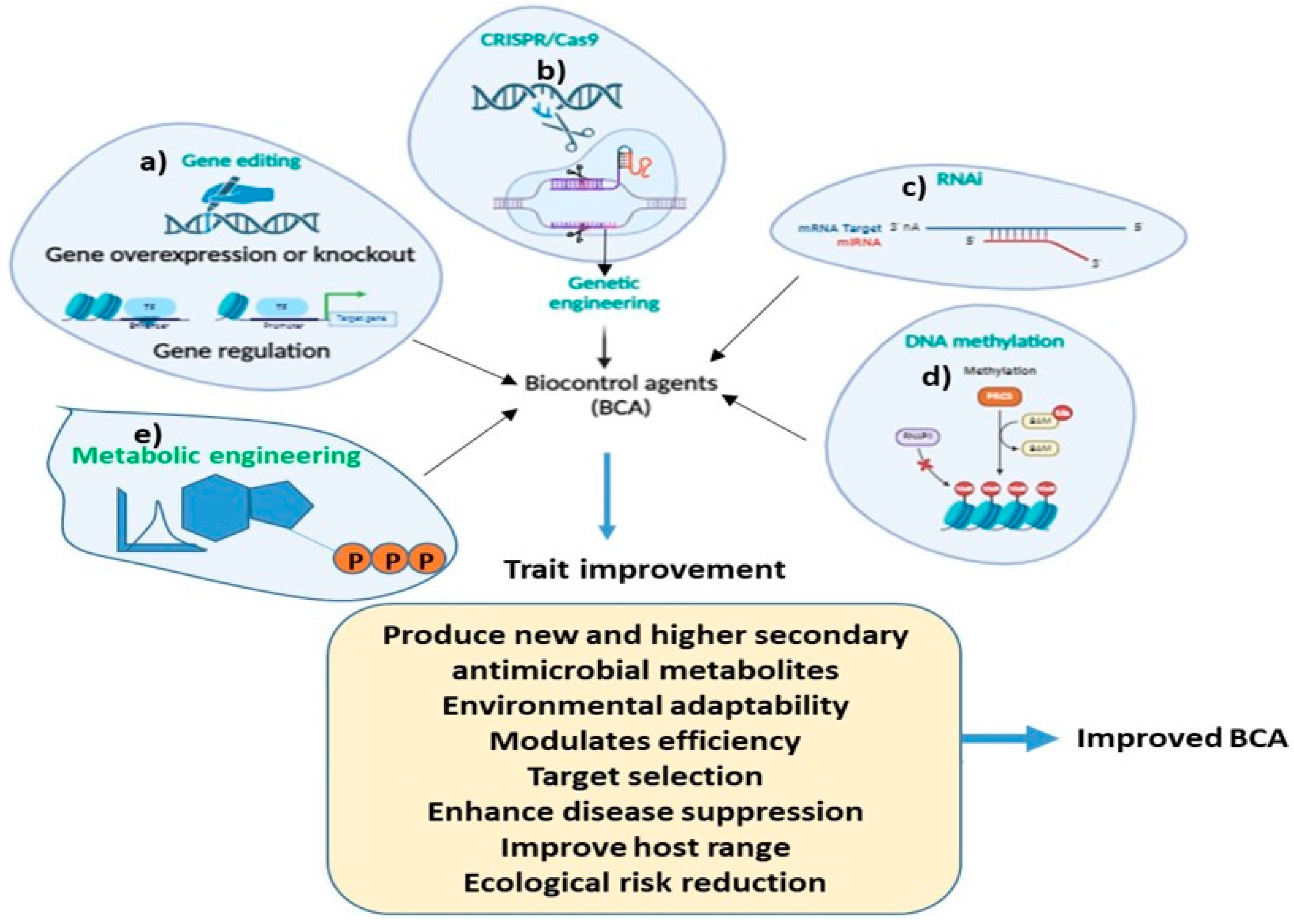 Horticulturae 10 00805 g004