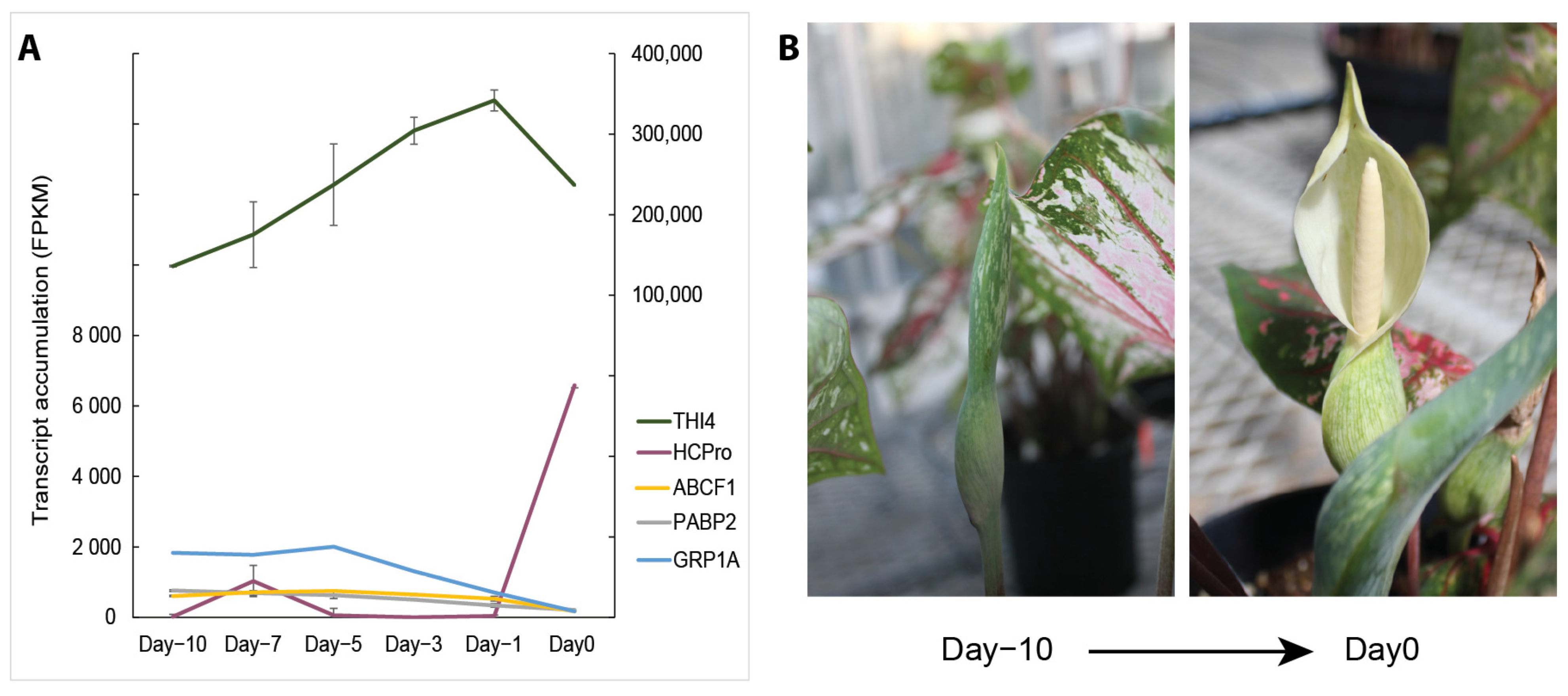 Horticulturae 10 00810 g004