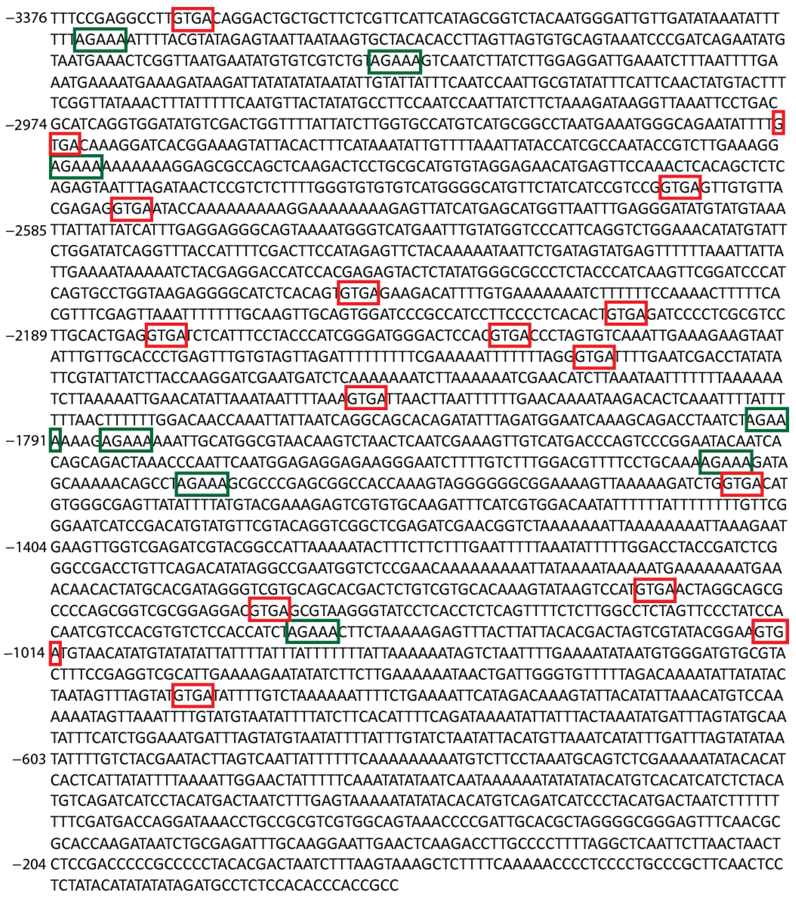 Horticulturae 10 00810 g005