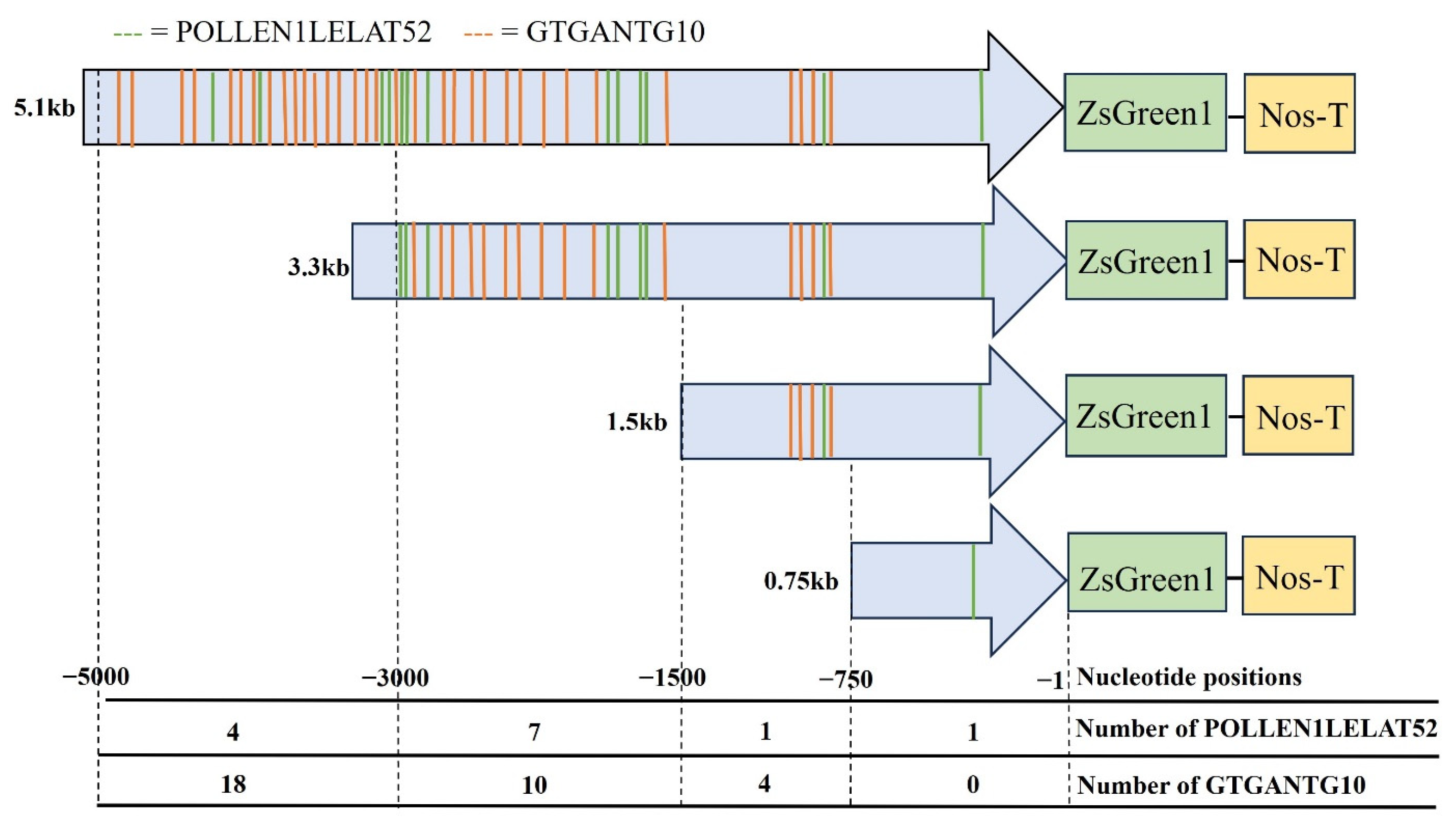 Horticulturae 10 00810 g006