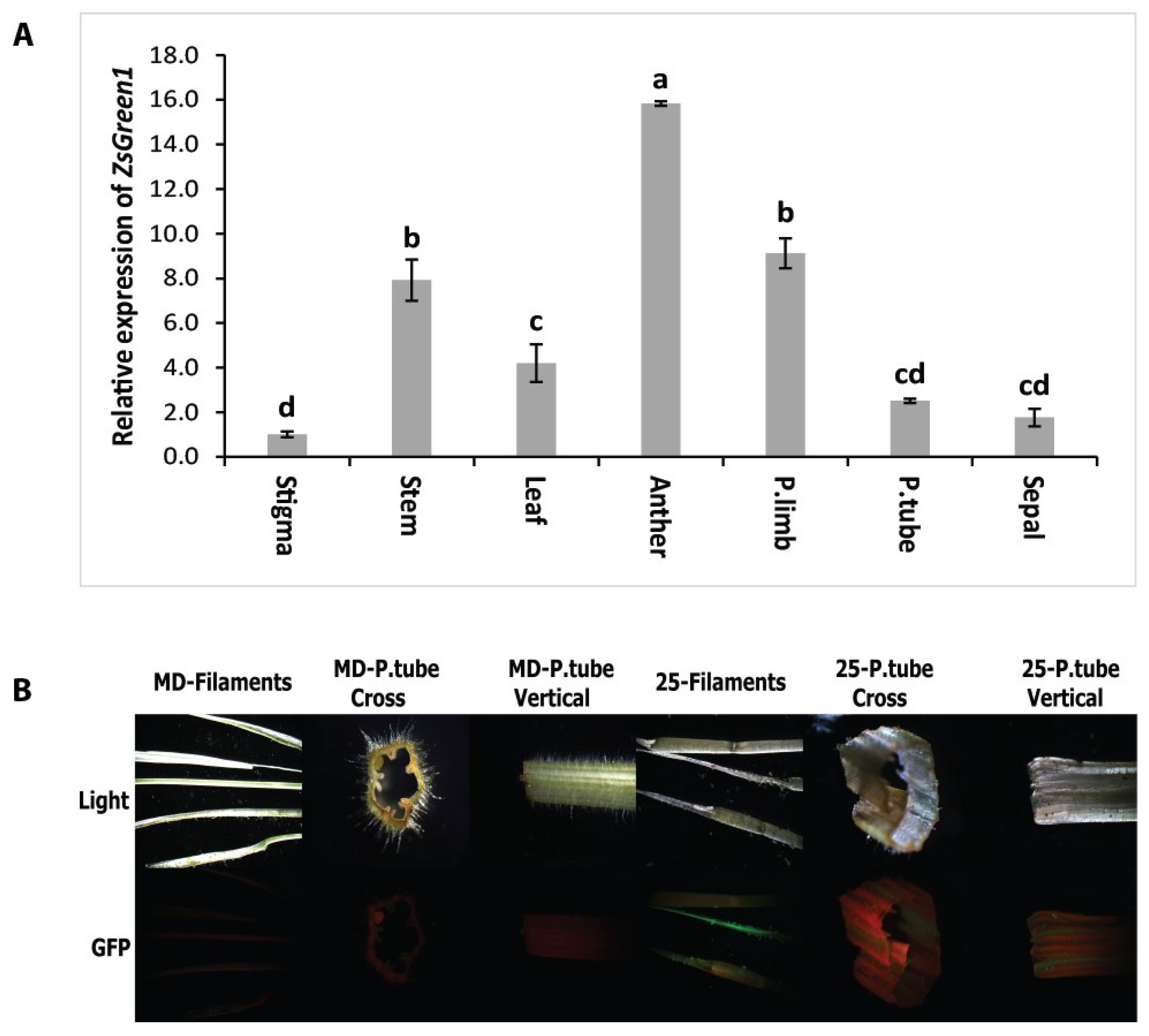 Horticulturae 10 00810 g010