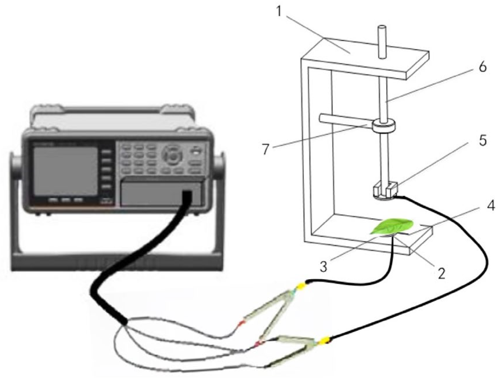 Horticulturae 10 00821 g001