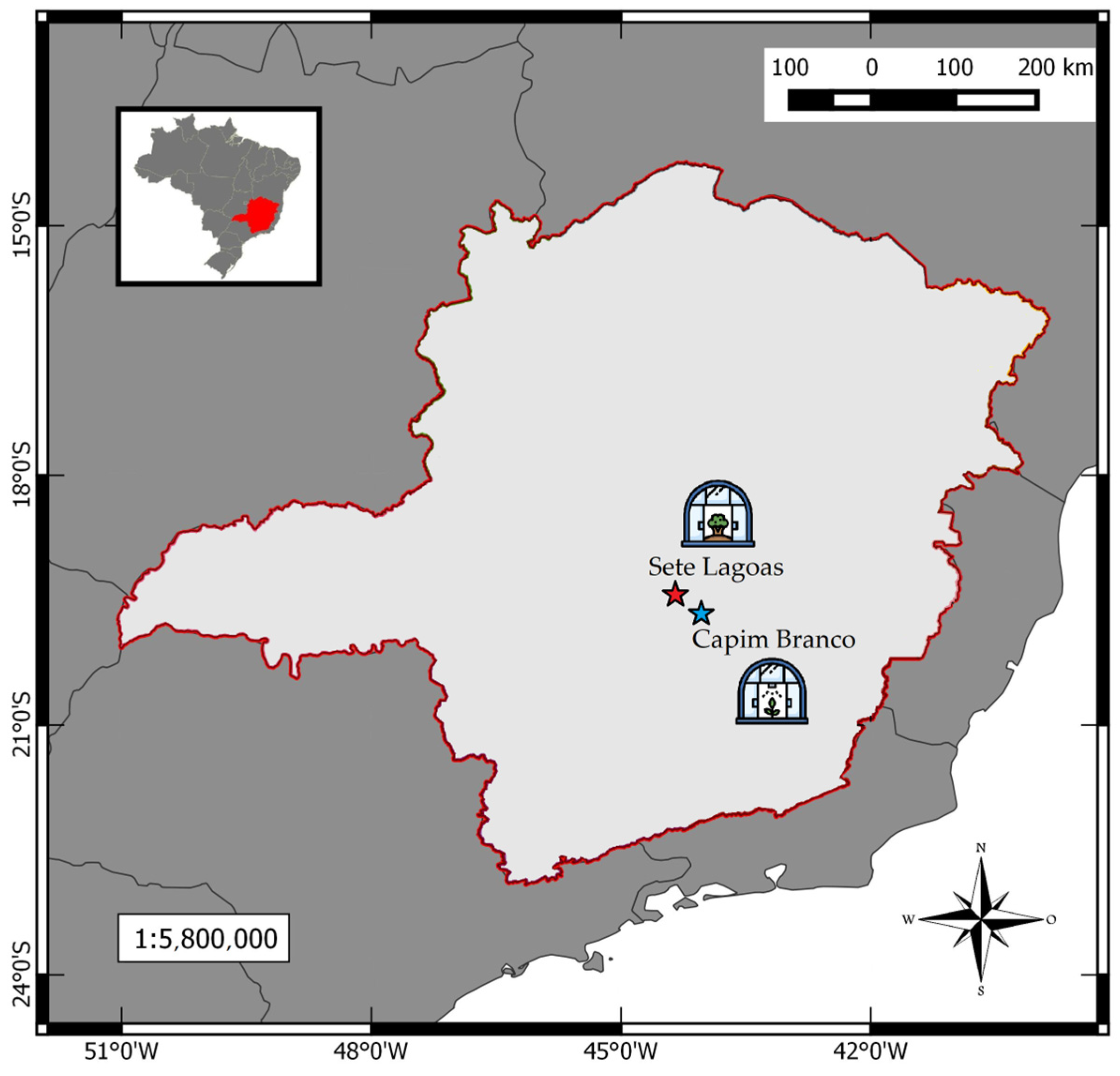 Horticulturae 10 00828 g001