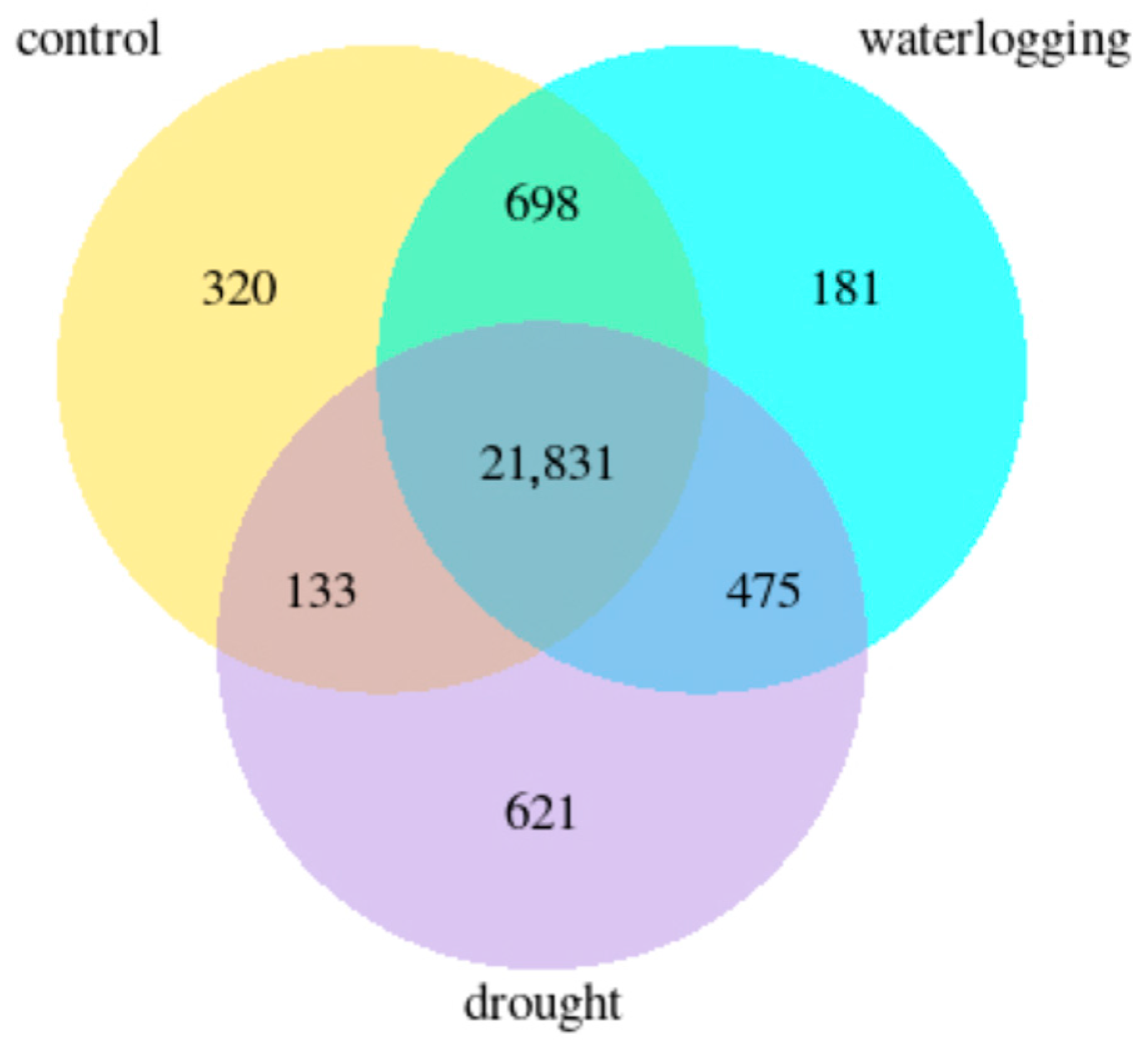 Horticulturae 10 00834 g001
