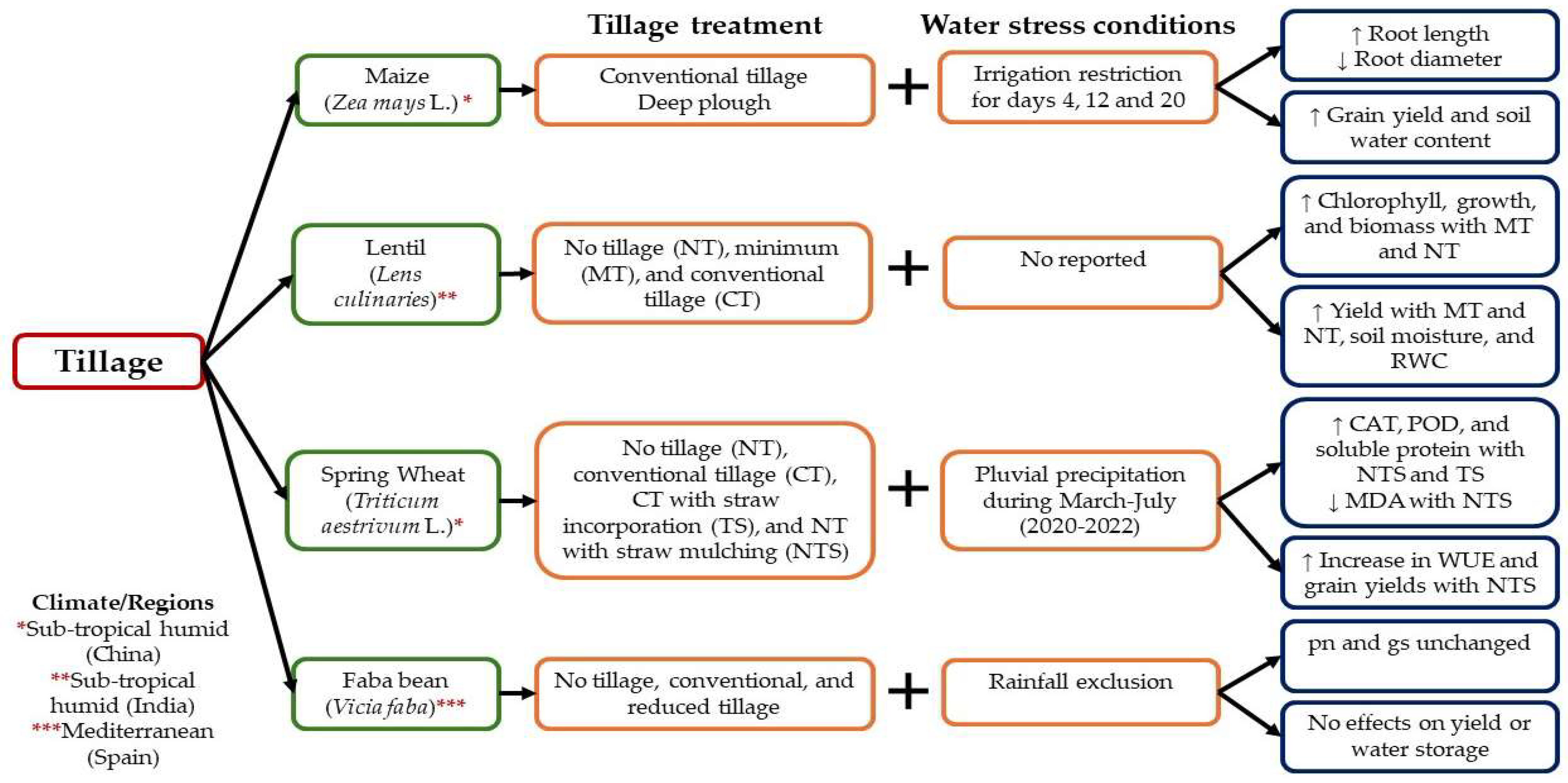 Horticulturae 10 00837 g004