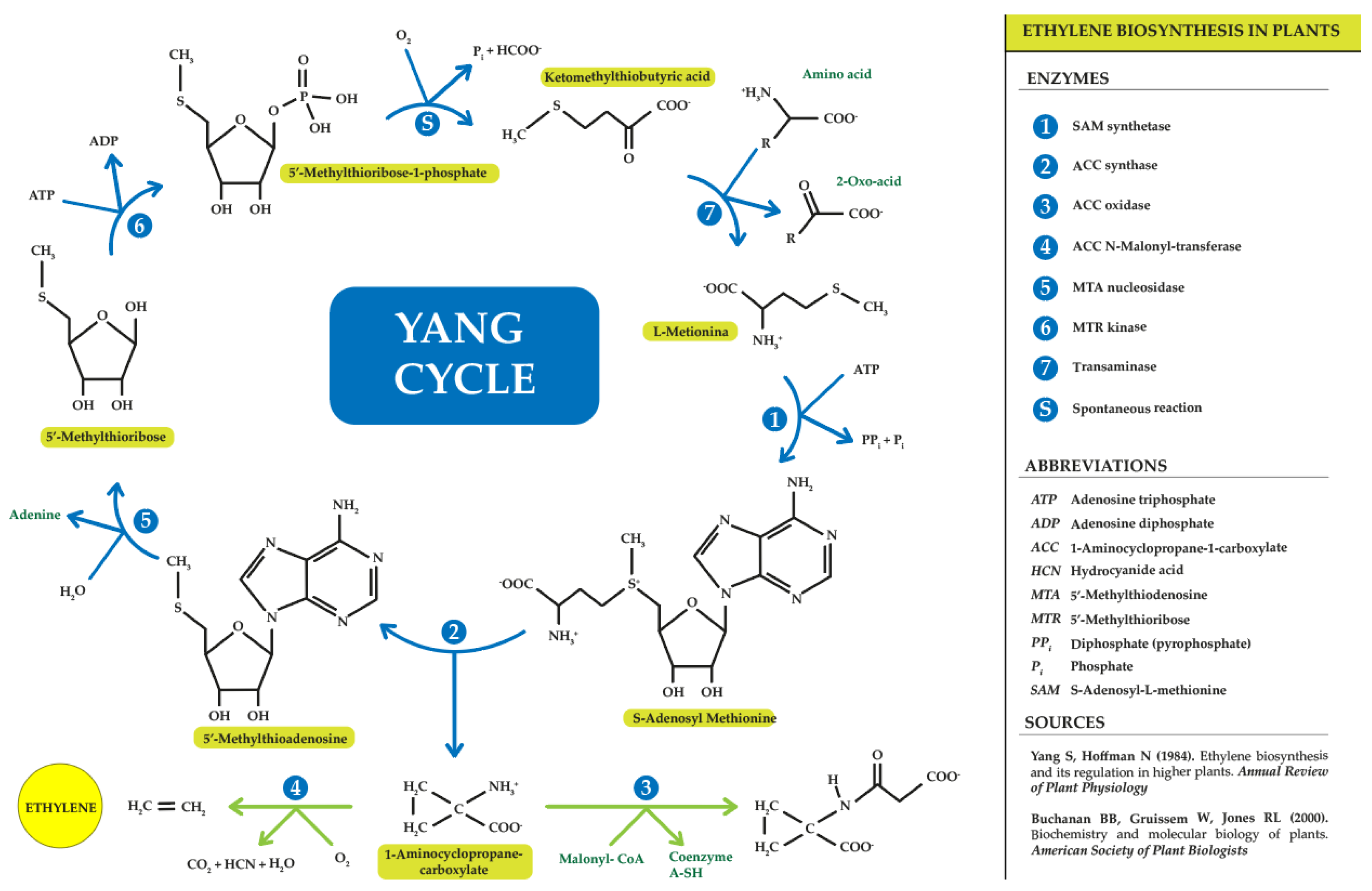 Horticulturae 10 00840 g002