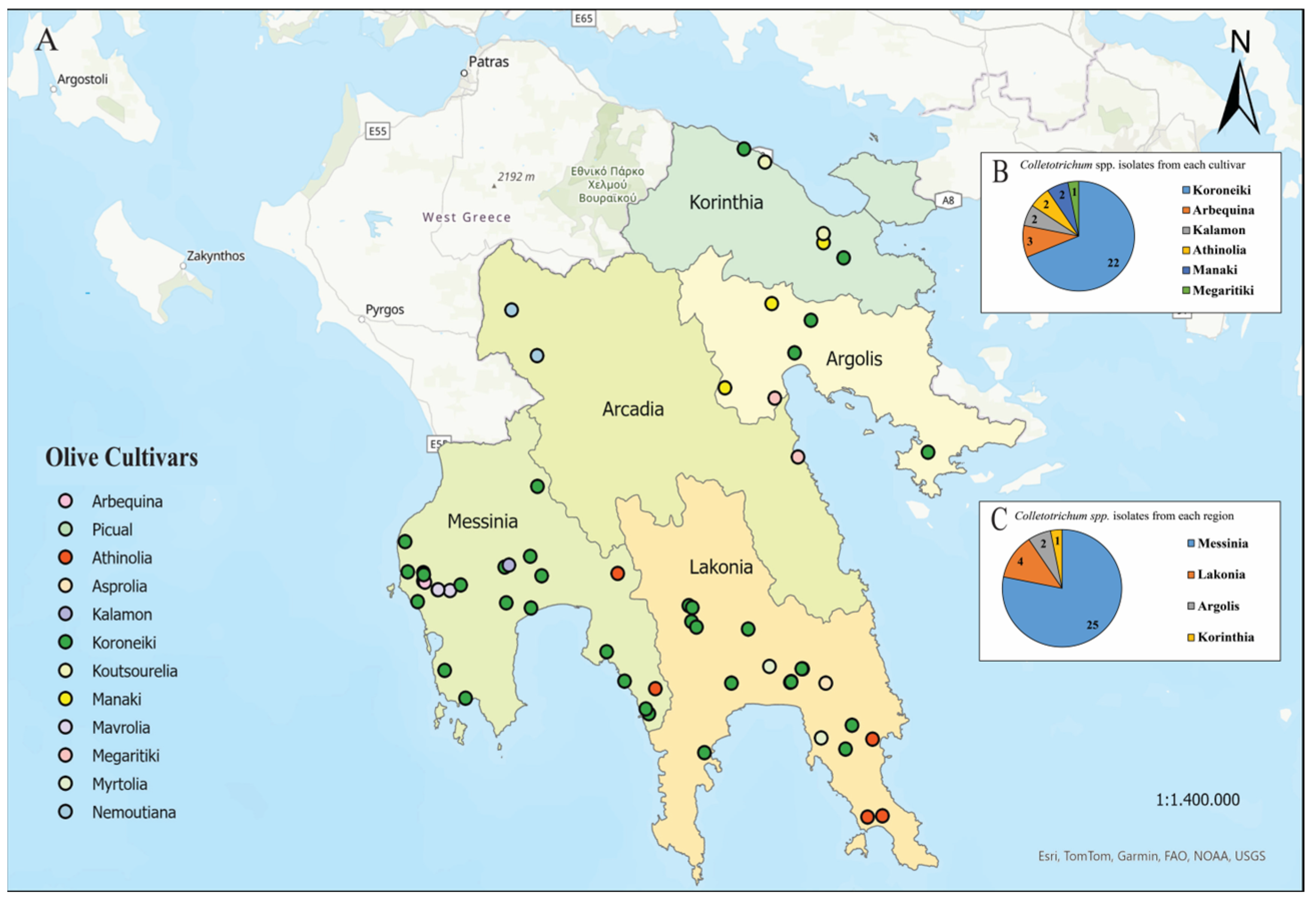 Horticulturae 10 00847 g001 Horticulturae 10 00847 g001