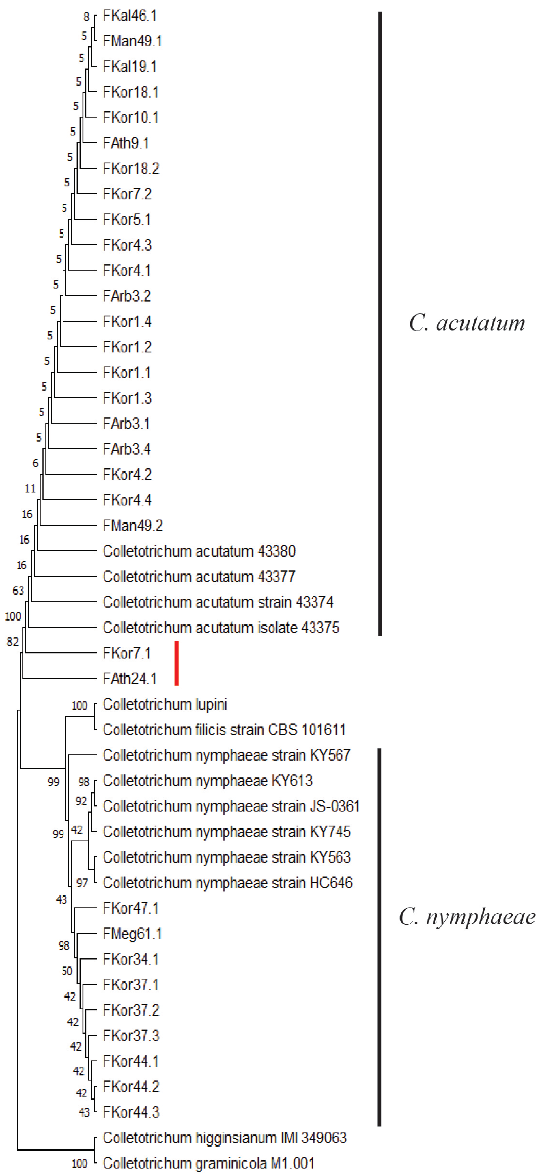 Horticulturae 10 00847 g003 Horticulturae 10 00847 g003